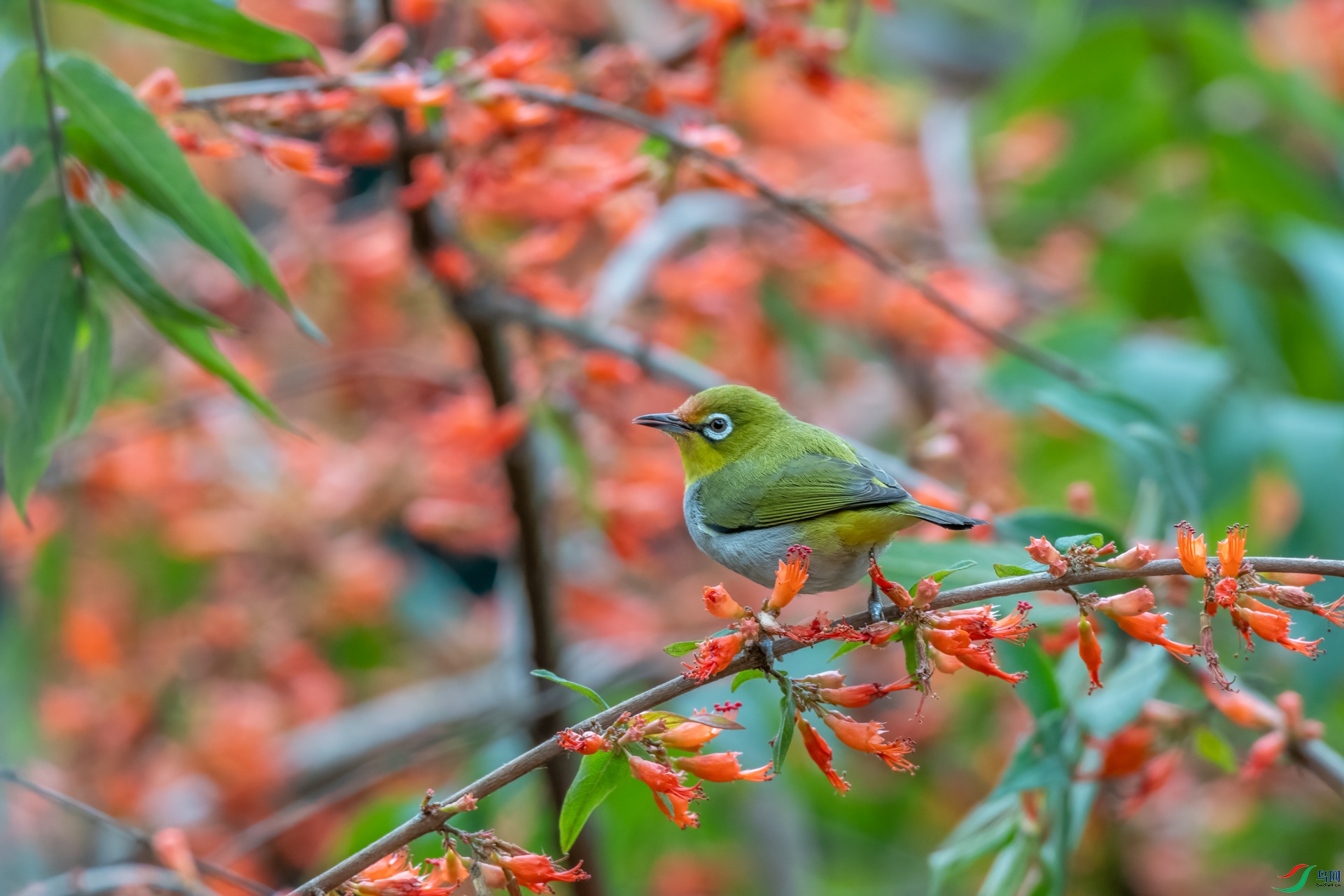 DSC_5524.jpg