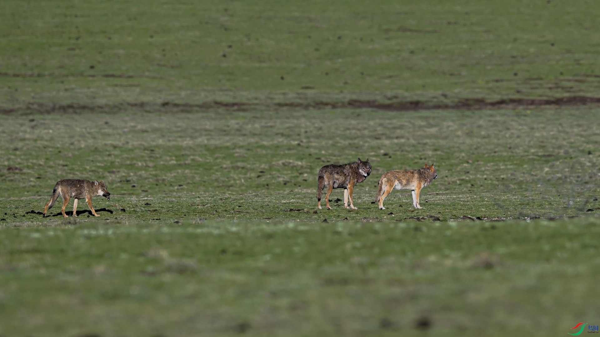 DSC_6770-1_01.JPG