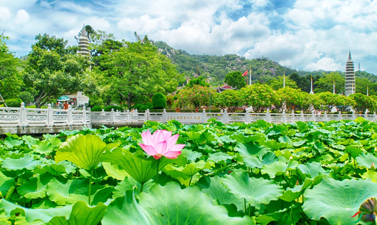 DJI_0049_����_����.jpg