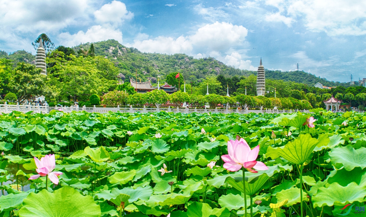 DJI_0013_����_����.jpg