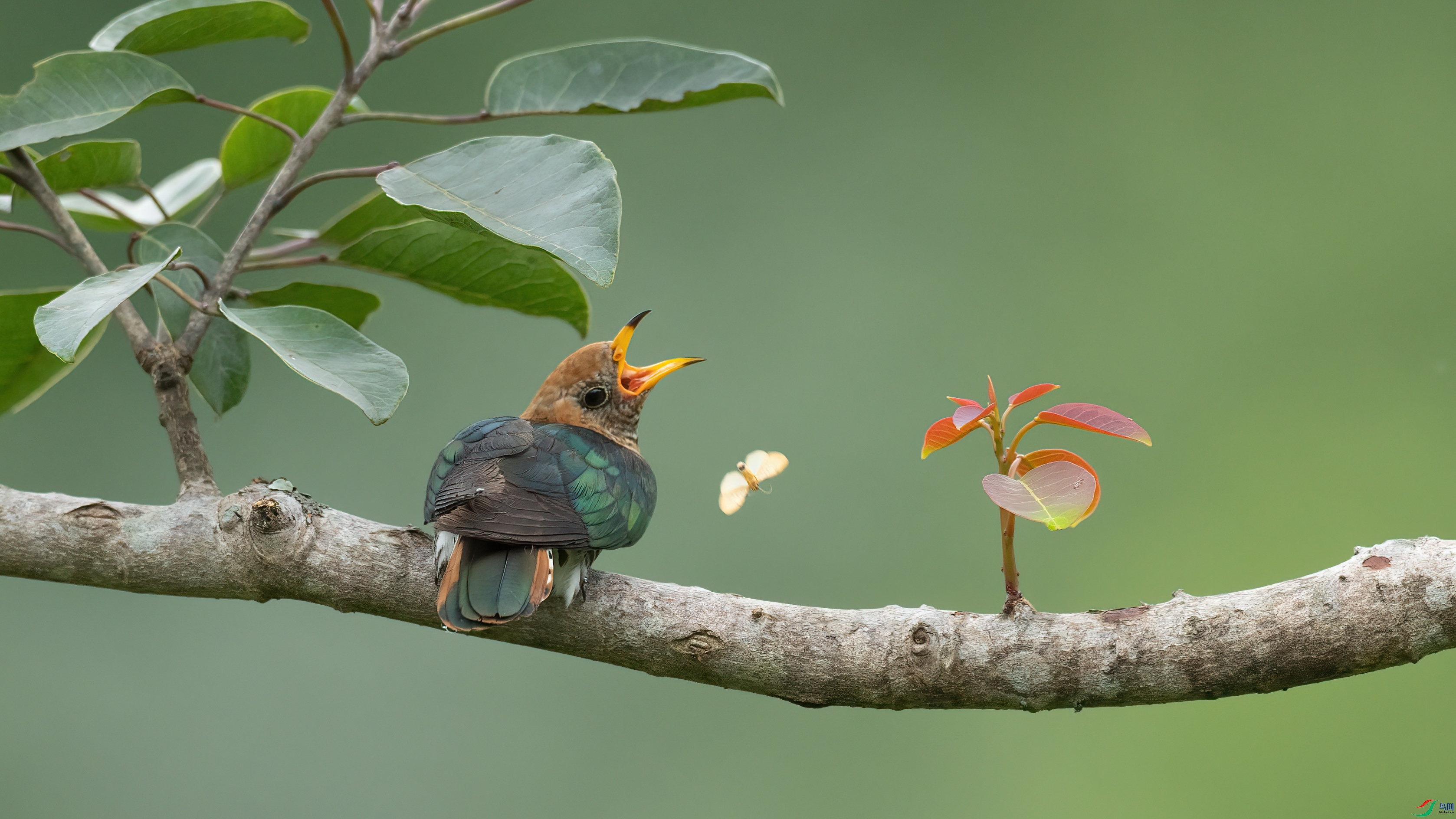 048A6494 ����.jpg