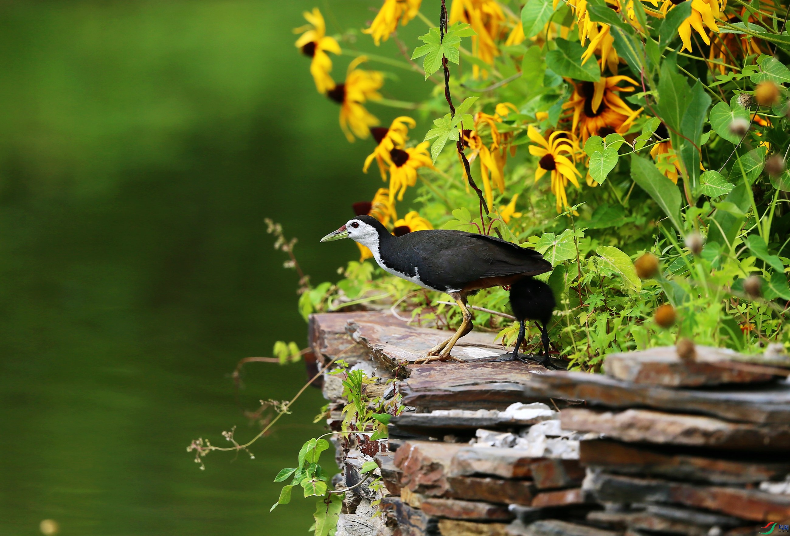 ���ؿ���� (15).JPG