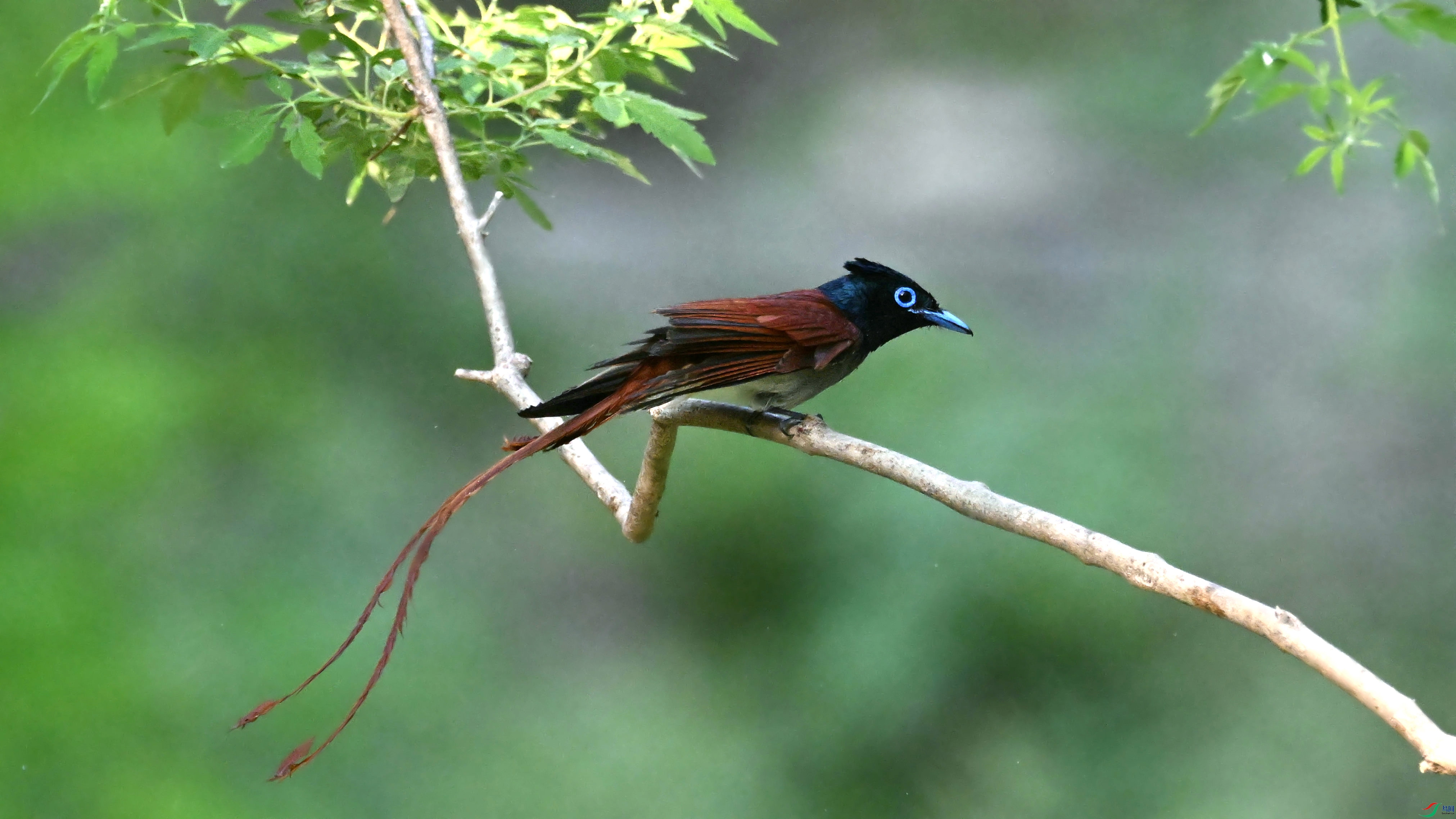 DSC_9221.JPG