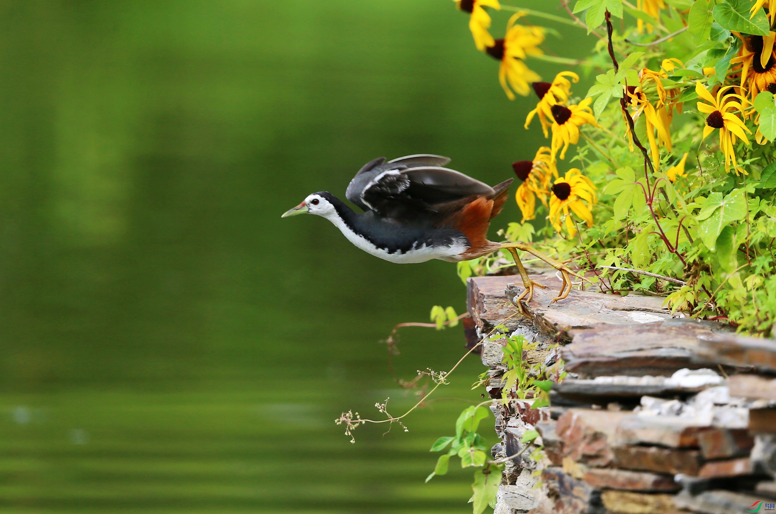 ���ؿ���� (18).JPG