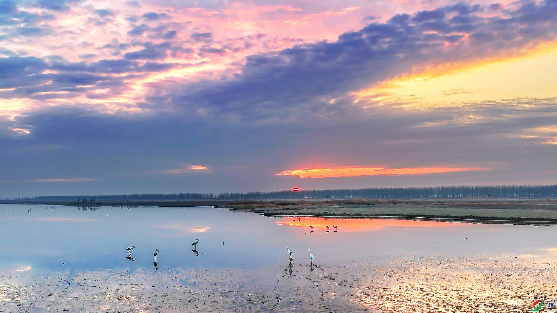 DJI_20250114071908_0001_----1 .jpg