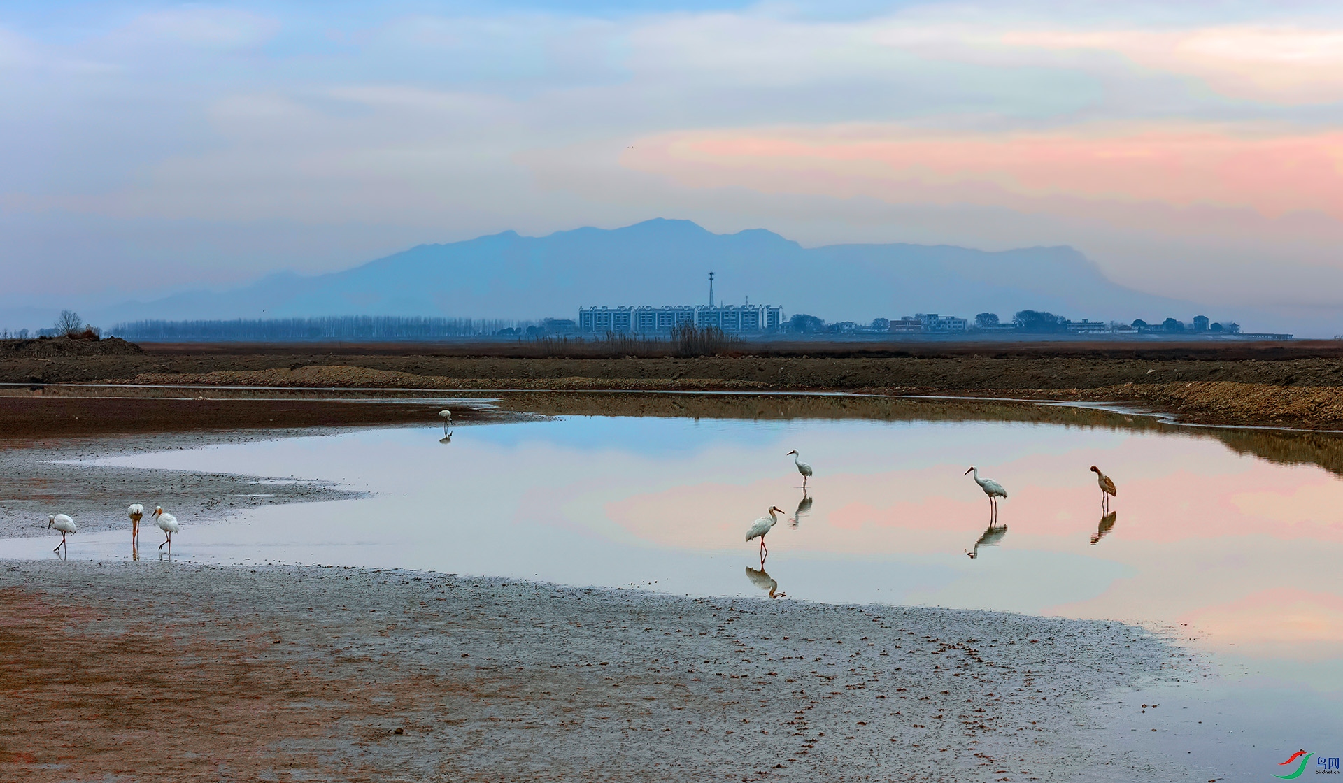 DJI_20250210081006_0323_D ����-Sha----1 .jpg