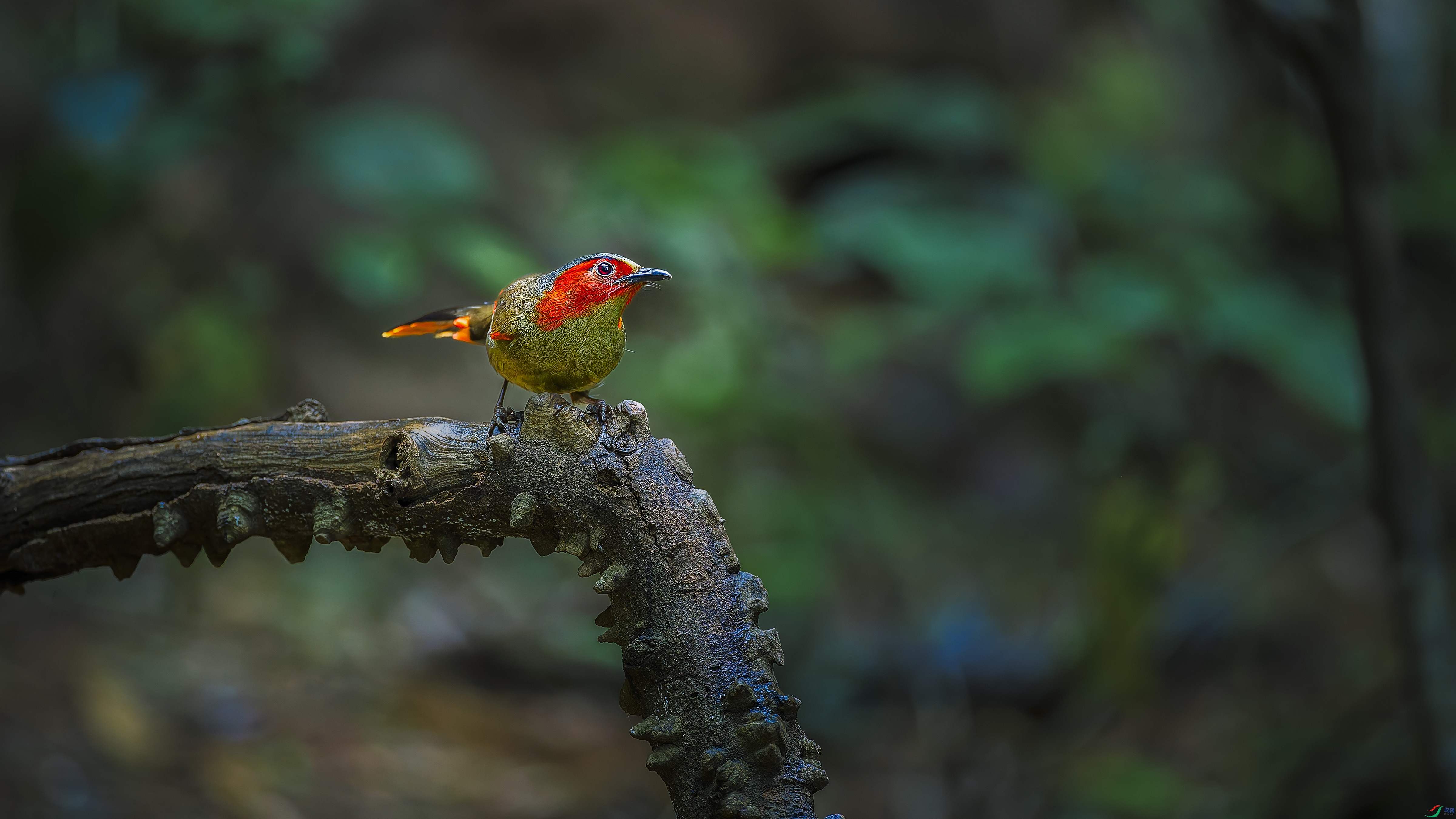 ���޴(s��u)��(m��i)