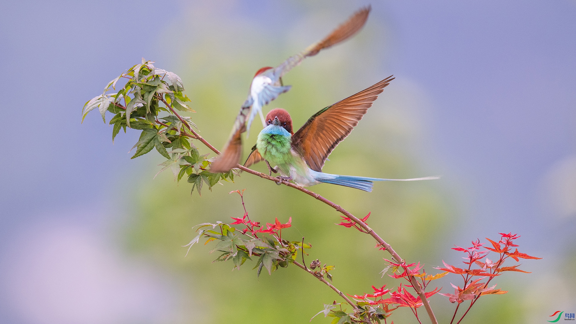 _DSC5499 ���� 2.jpg