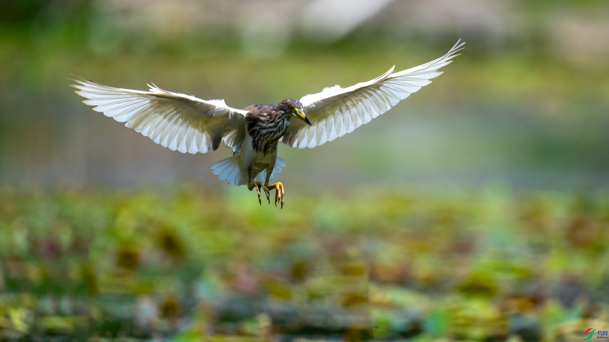 DSC_7581.jpg