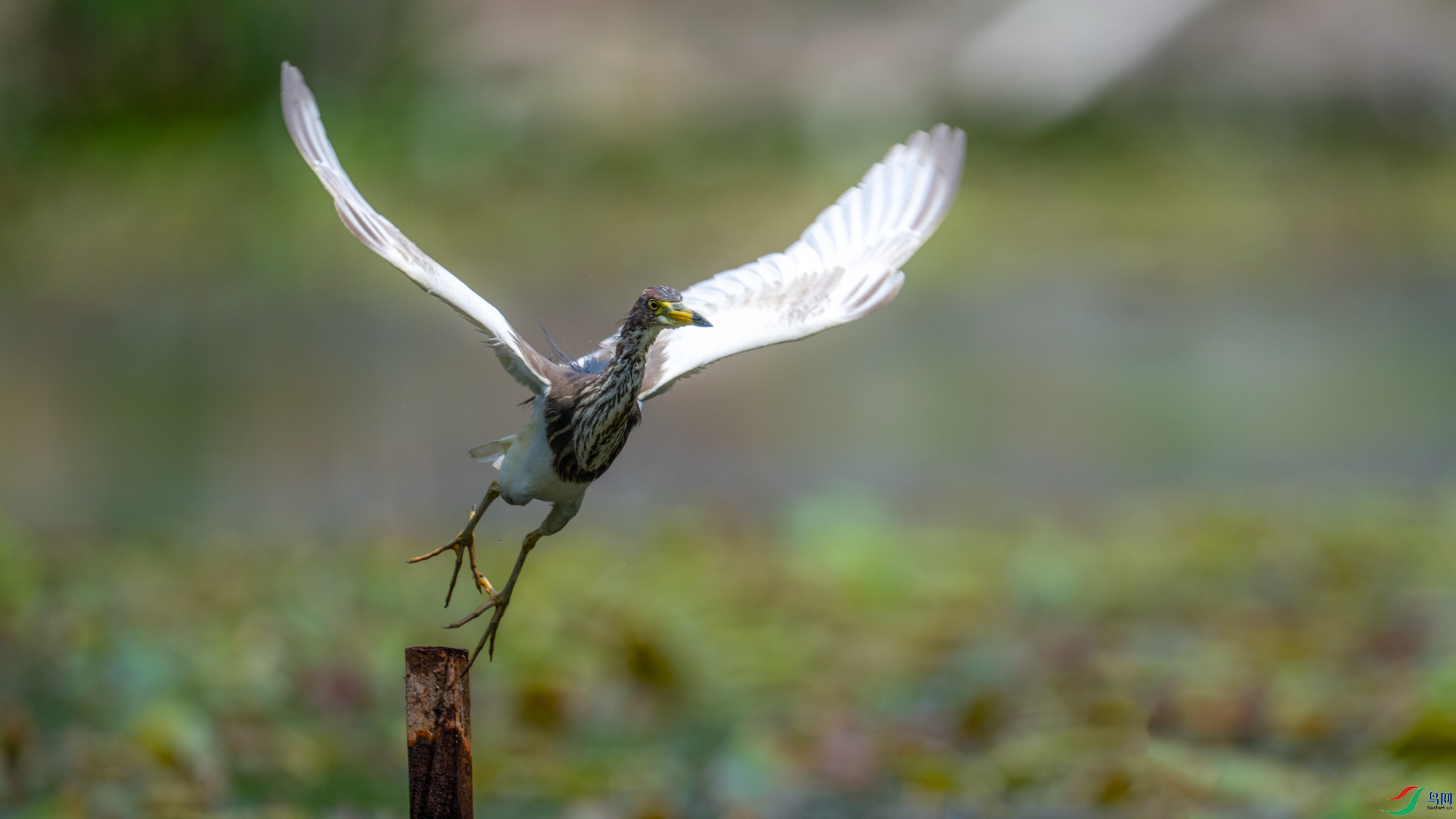 DSC_7576.jpg