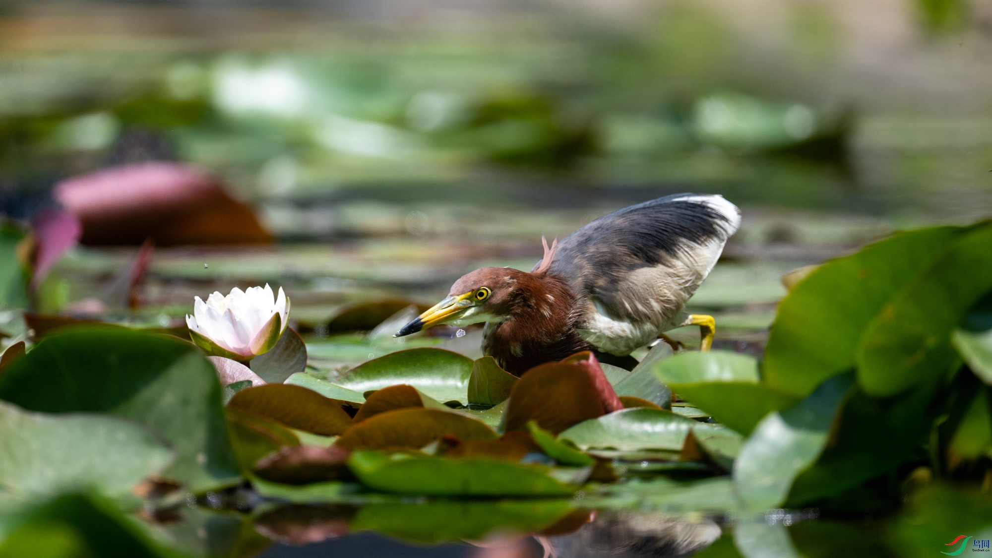 DSC_7145.jpg