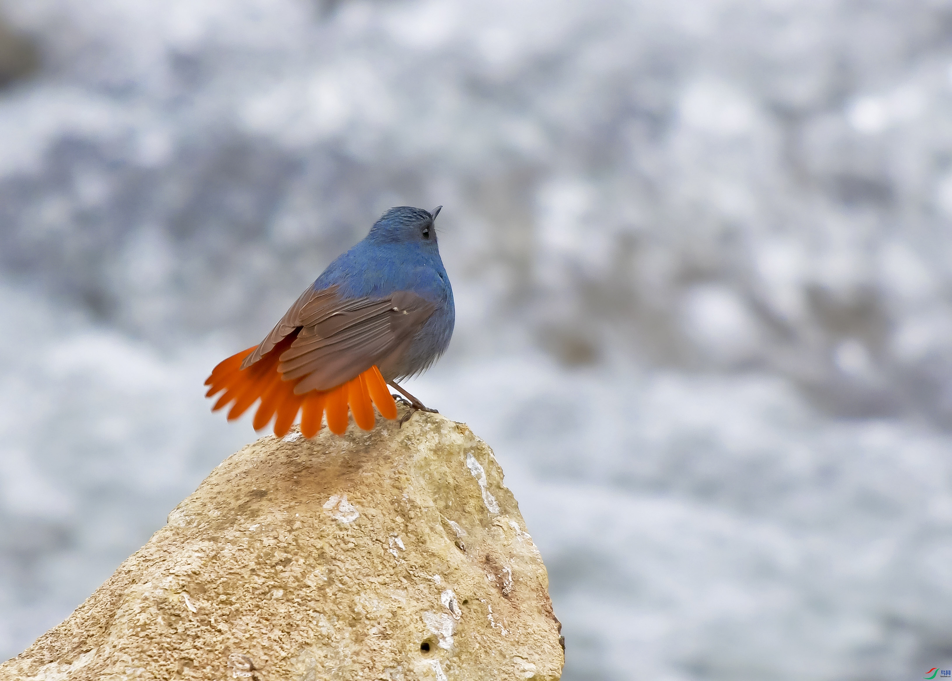 DSC_0172.JPG