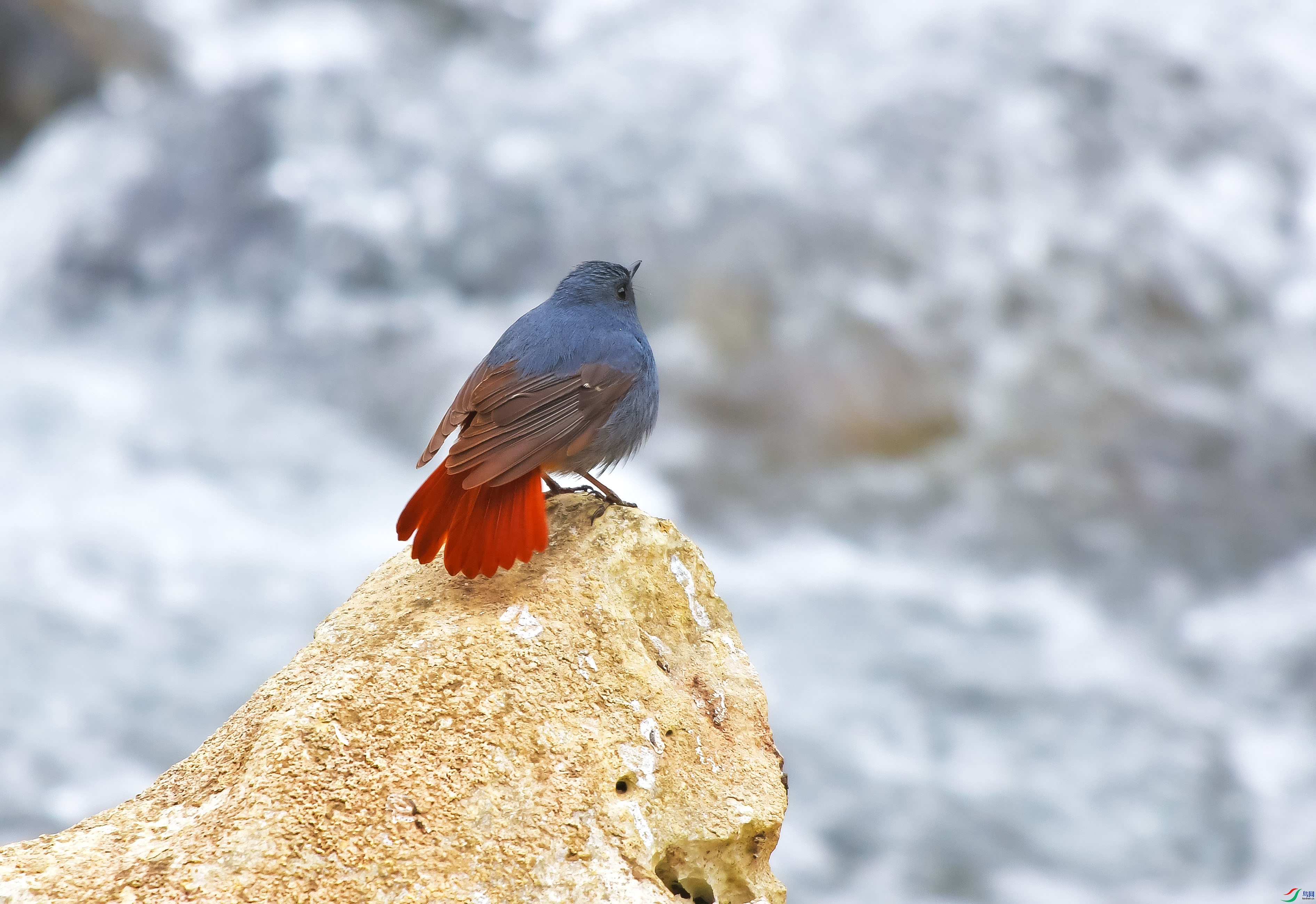 DSC_0174.JPG