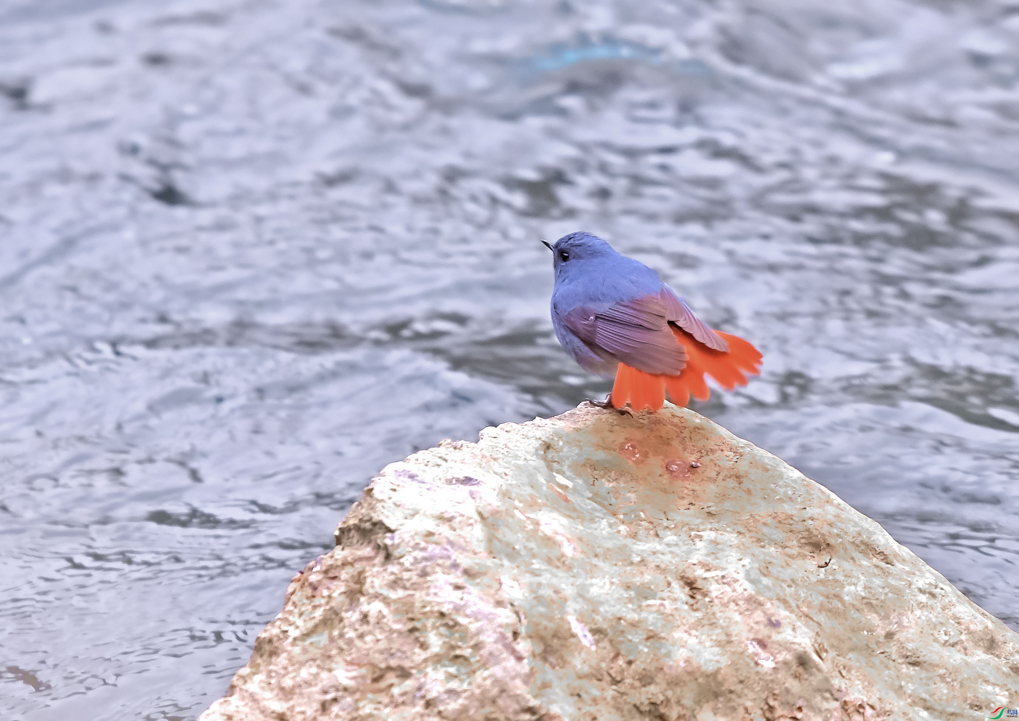 DSC_0192.JPG
