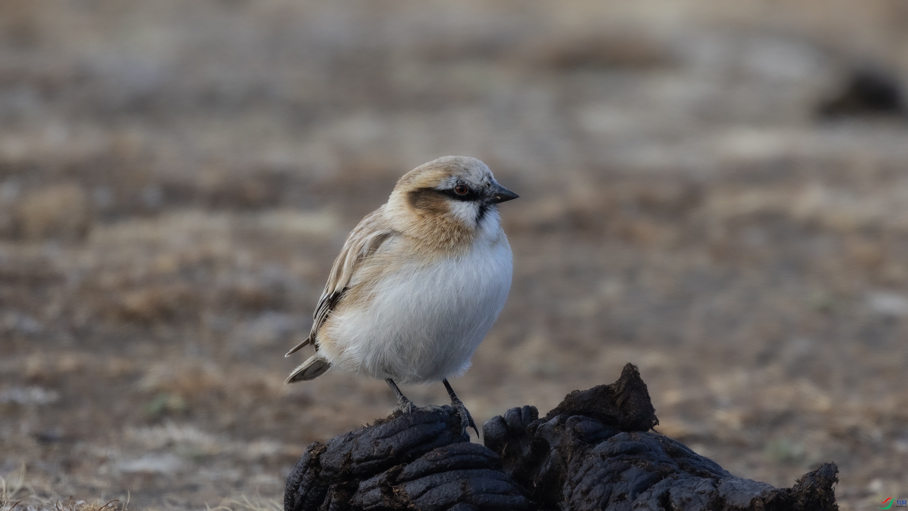 381A0216 ����4444.jpg