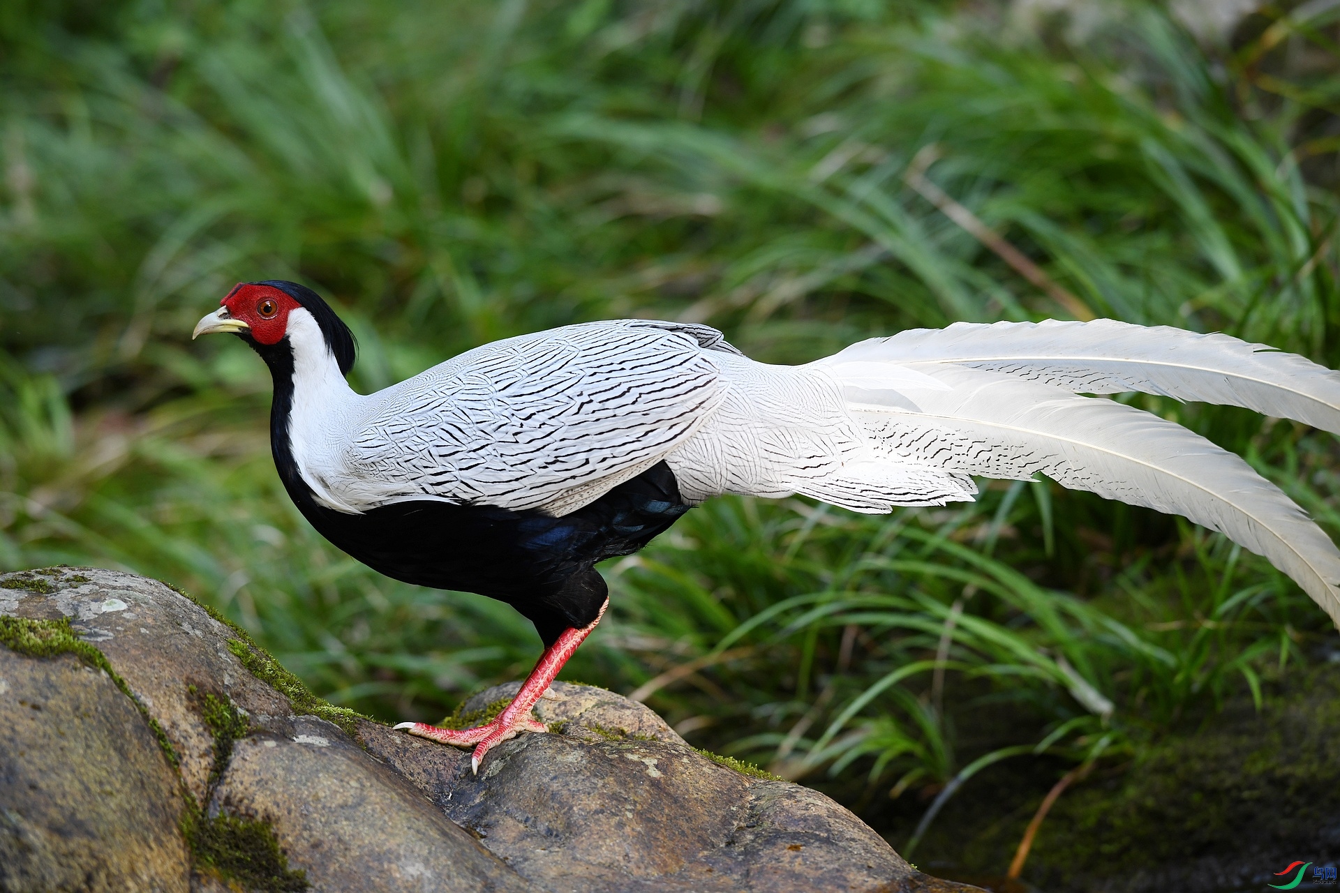 DSC_7768.jpg