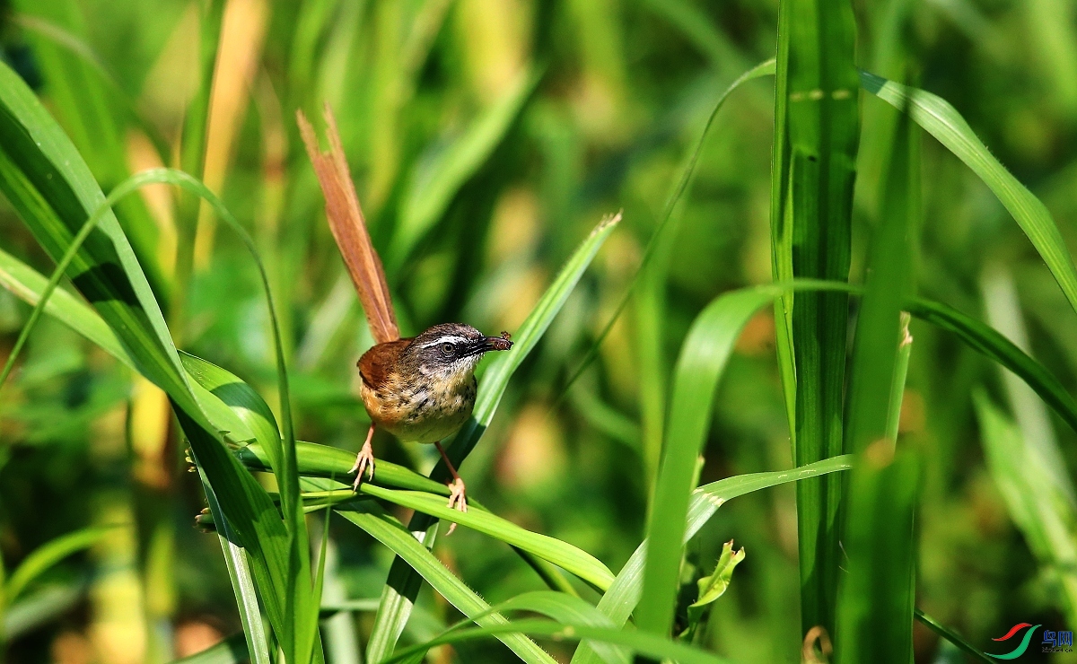 ���� IMGL1828.JPG