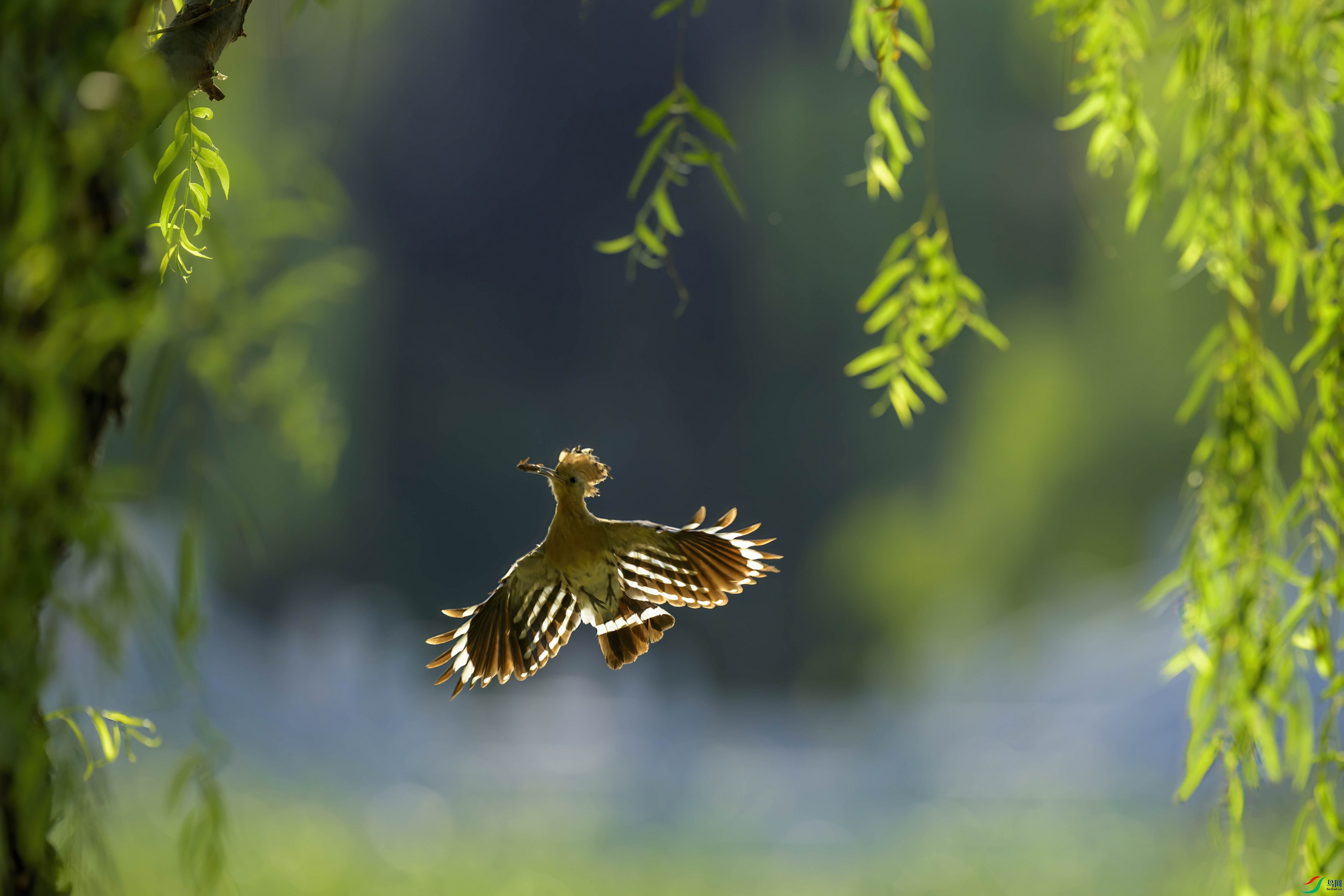 _DSC9246 ����F001.jpg