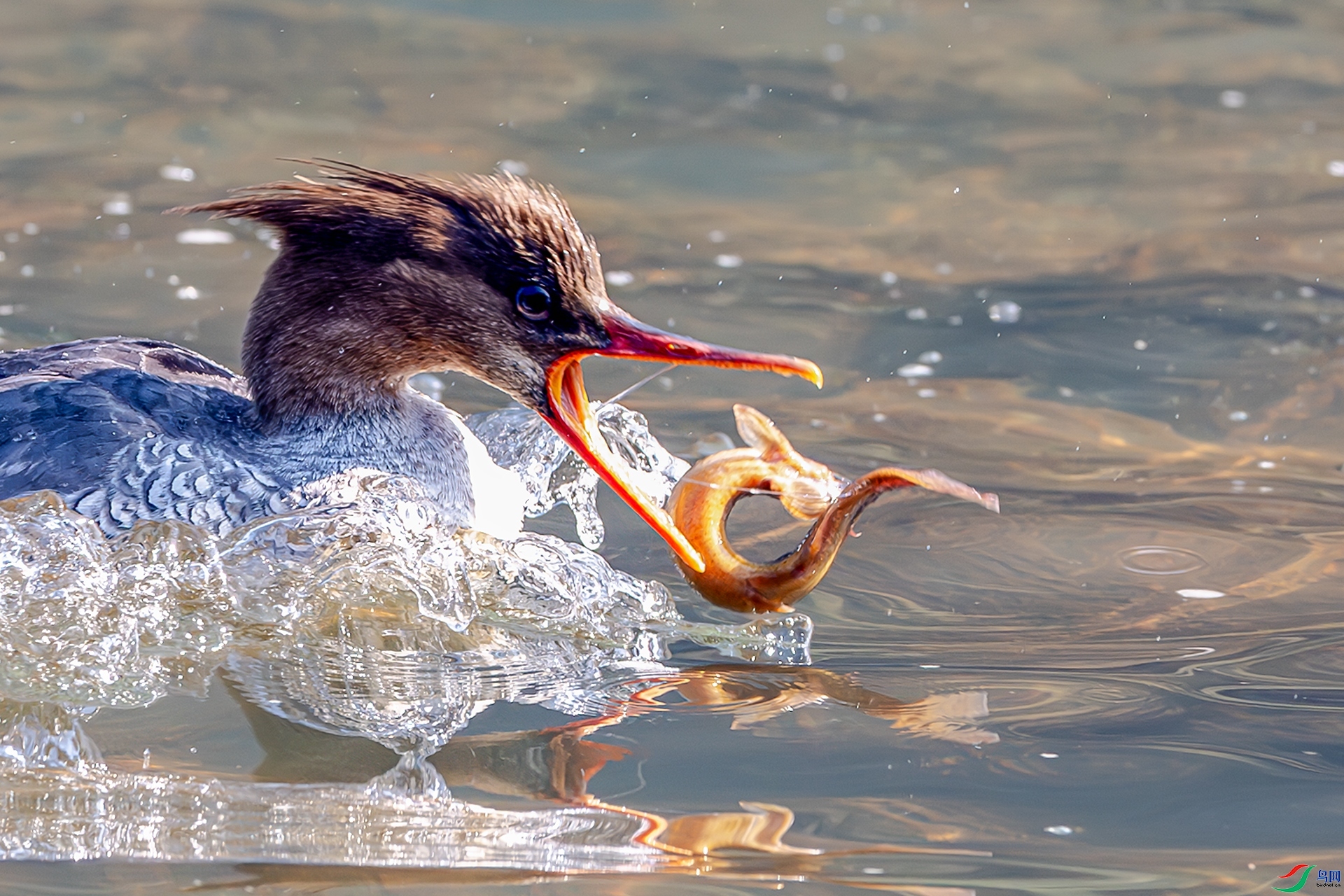 �ö���ʧ  ���� ����ǿ ��һ.jpg