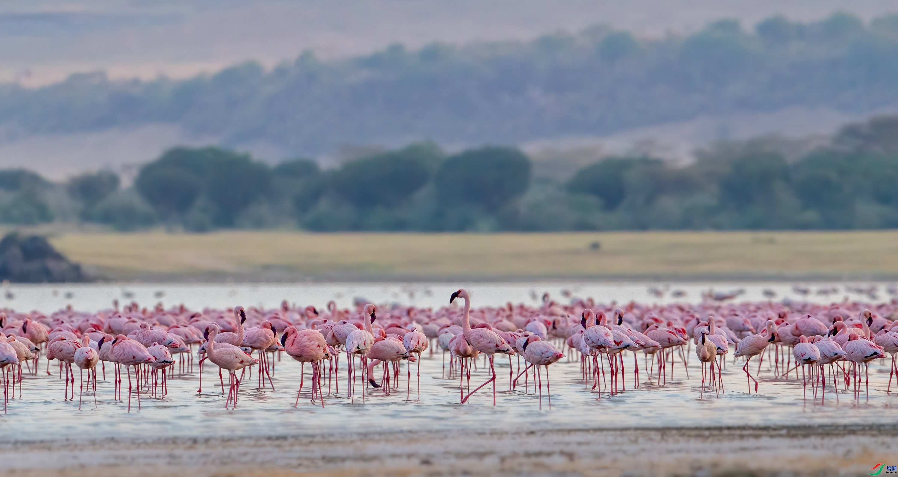 ��������  ���� ��Ͽ֮�� ��һ.jpg