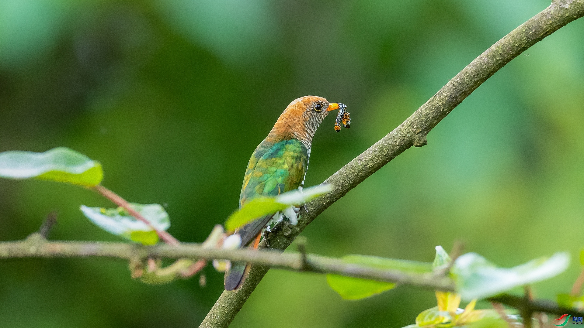 ����  ���� ɳ���Խ� �ܶ�.jpg