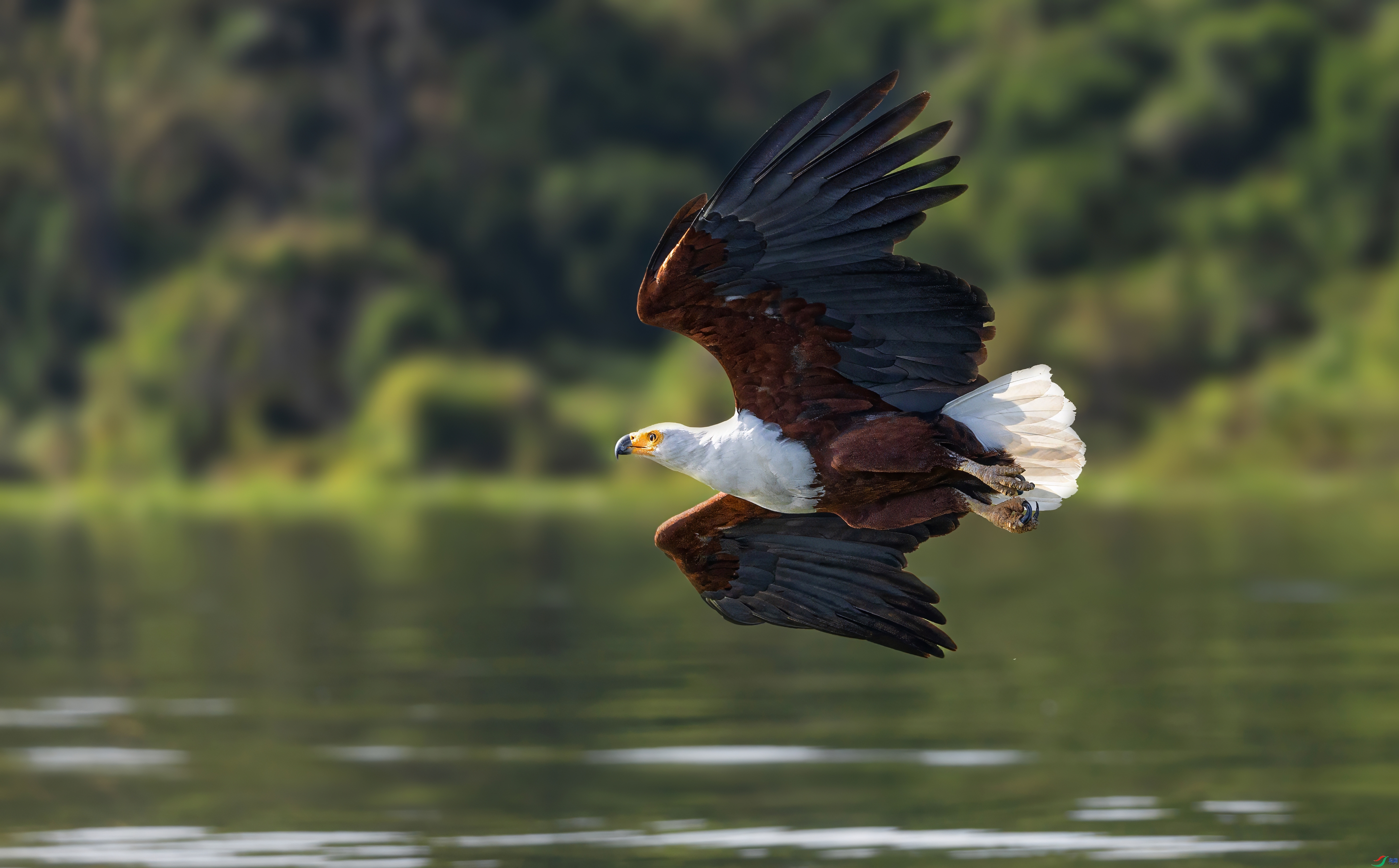 ���޺���  ���� �ܷ� �ܶ�.jpeg