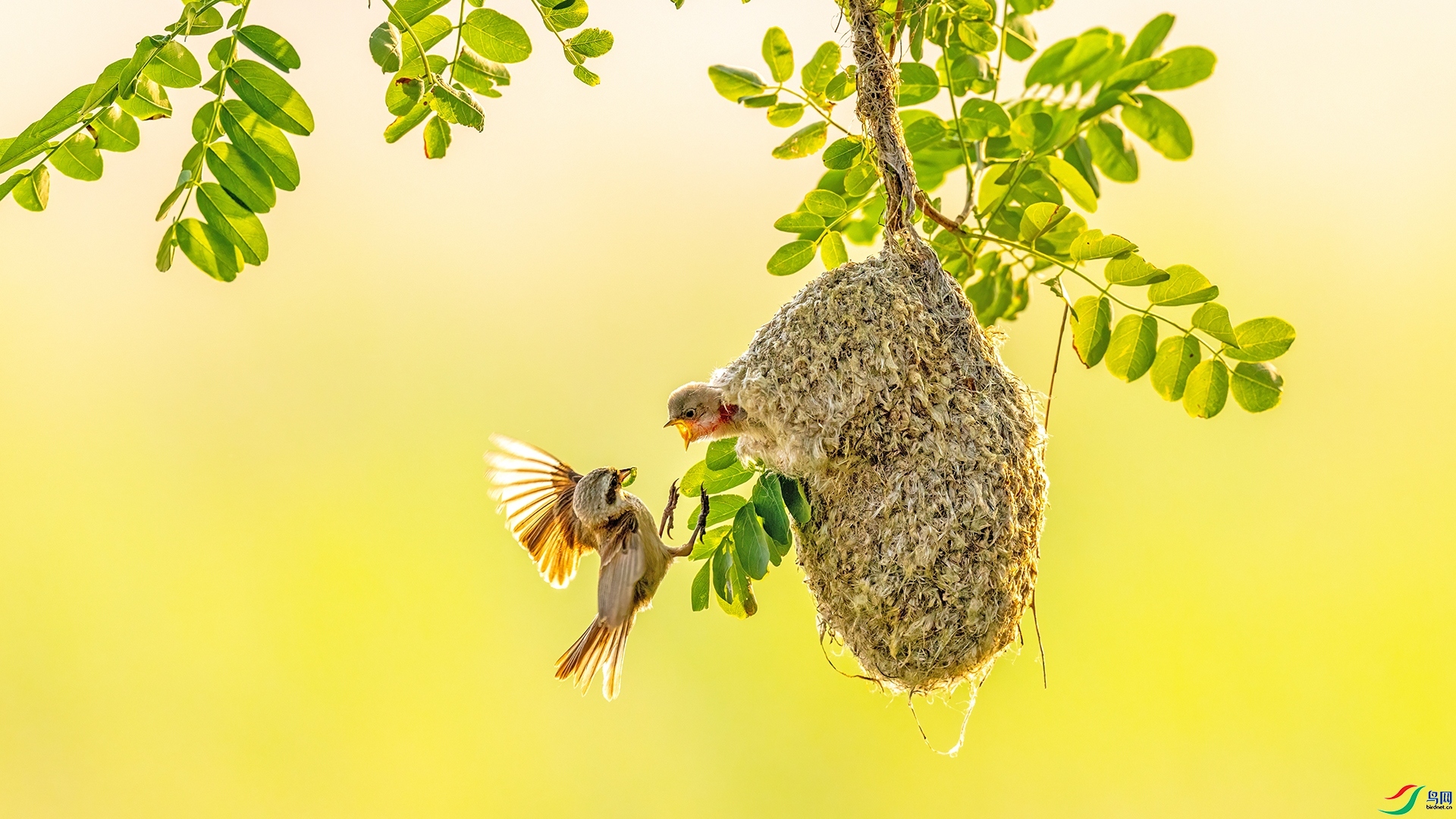 �໴���  ���� ������ ����.jpg