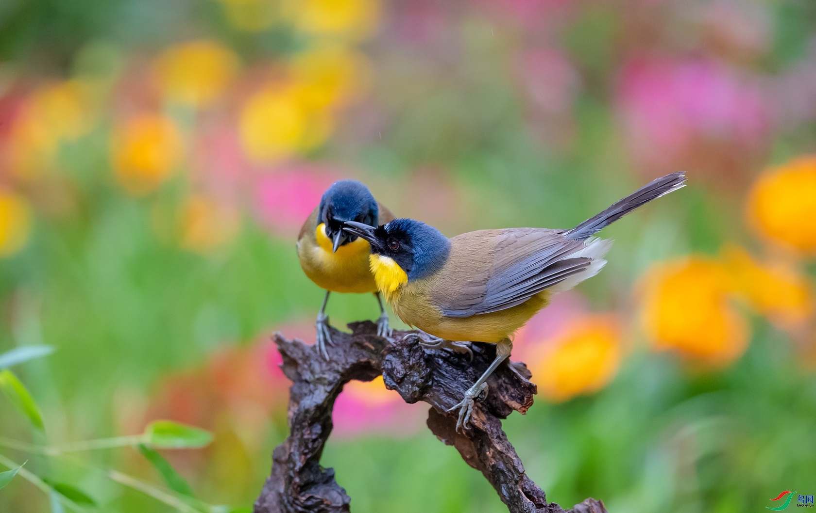 ��������  ���� ���� ����.jpg