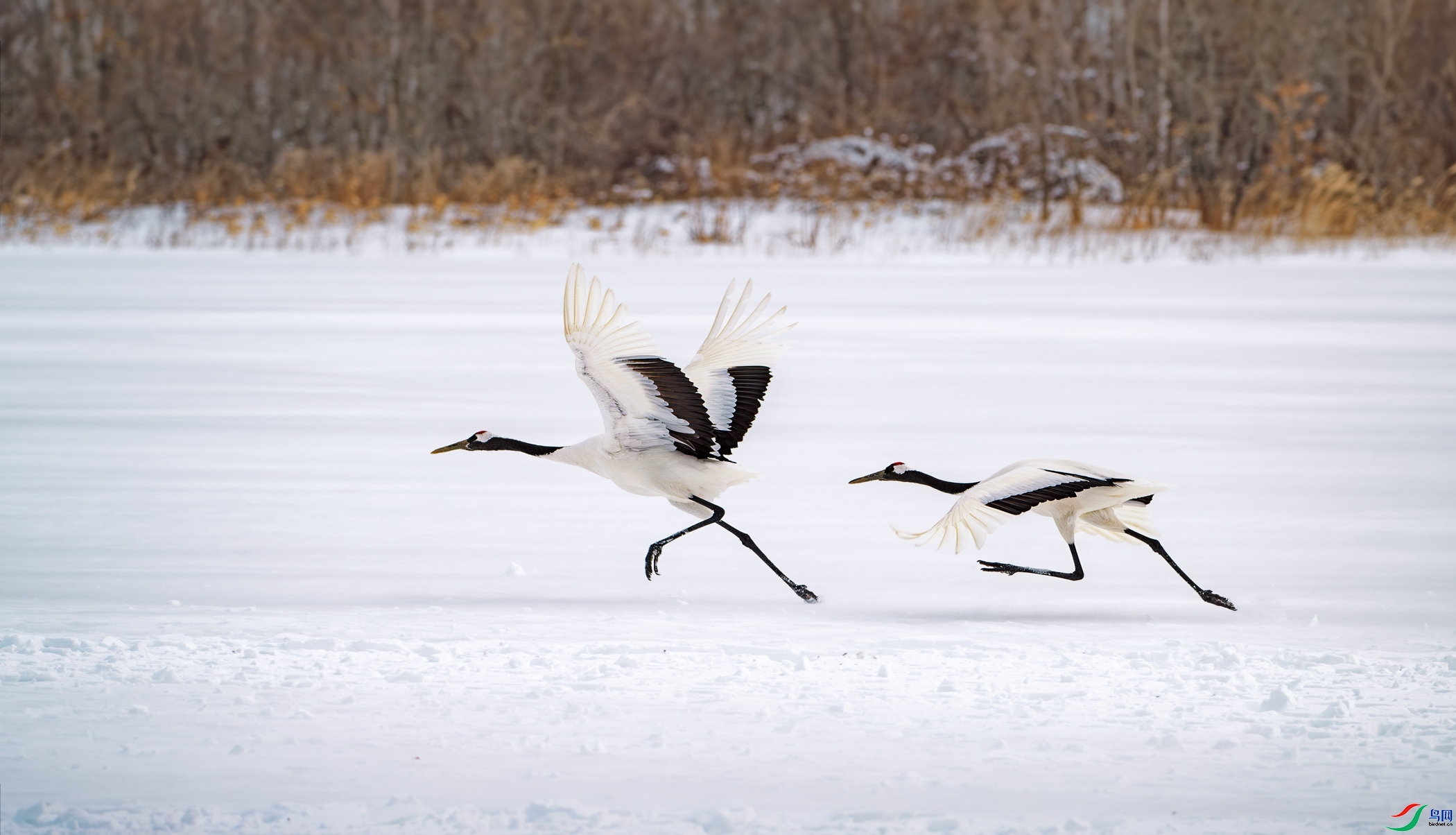 ���޷���  ���� �������� ����.jpg