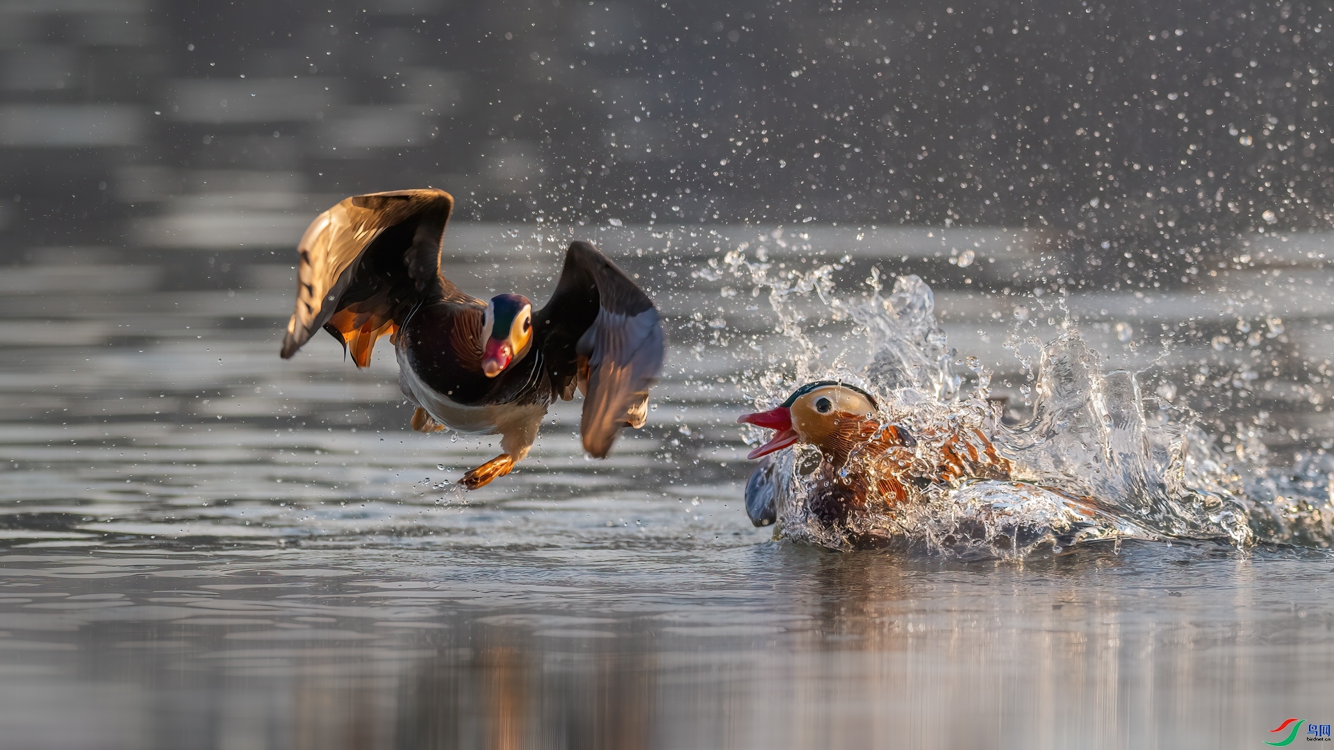 ����  ���� ���� ����.jpg