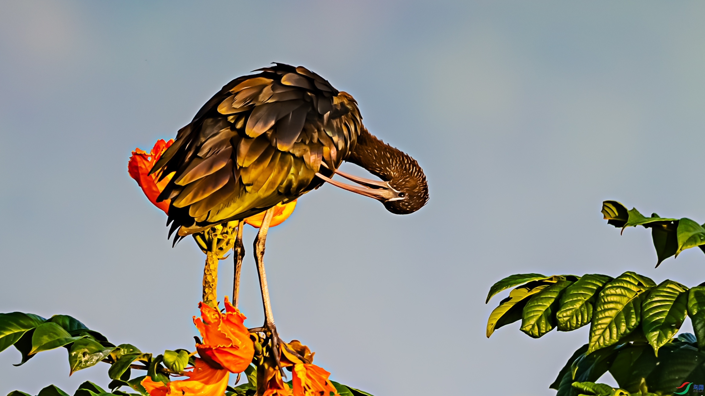 ��ױ  ���� ������ͷ ����.jpg