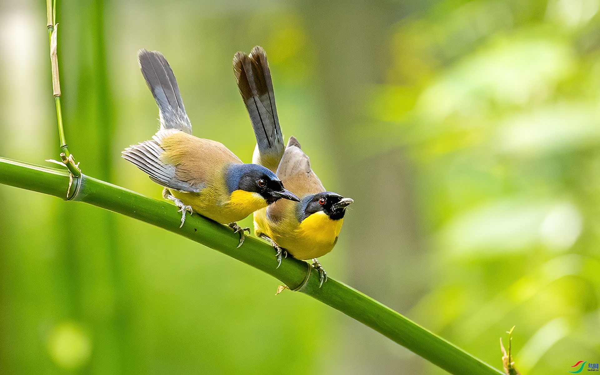 ����  ���� л���� ����.jpg