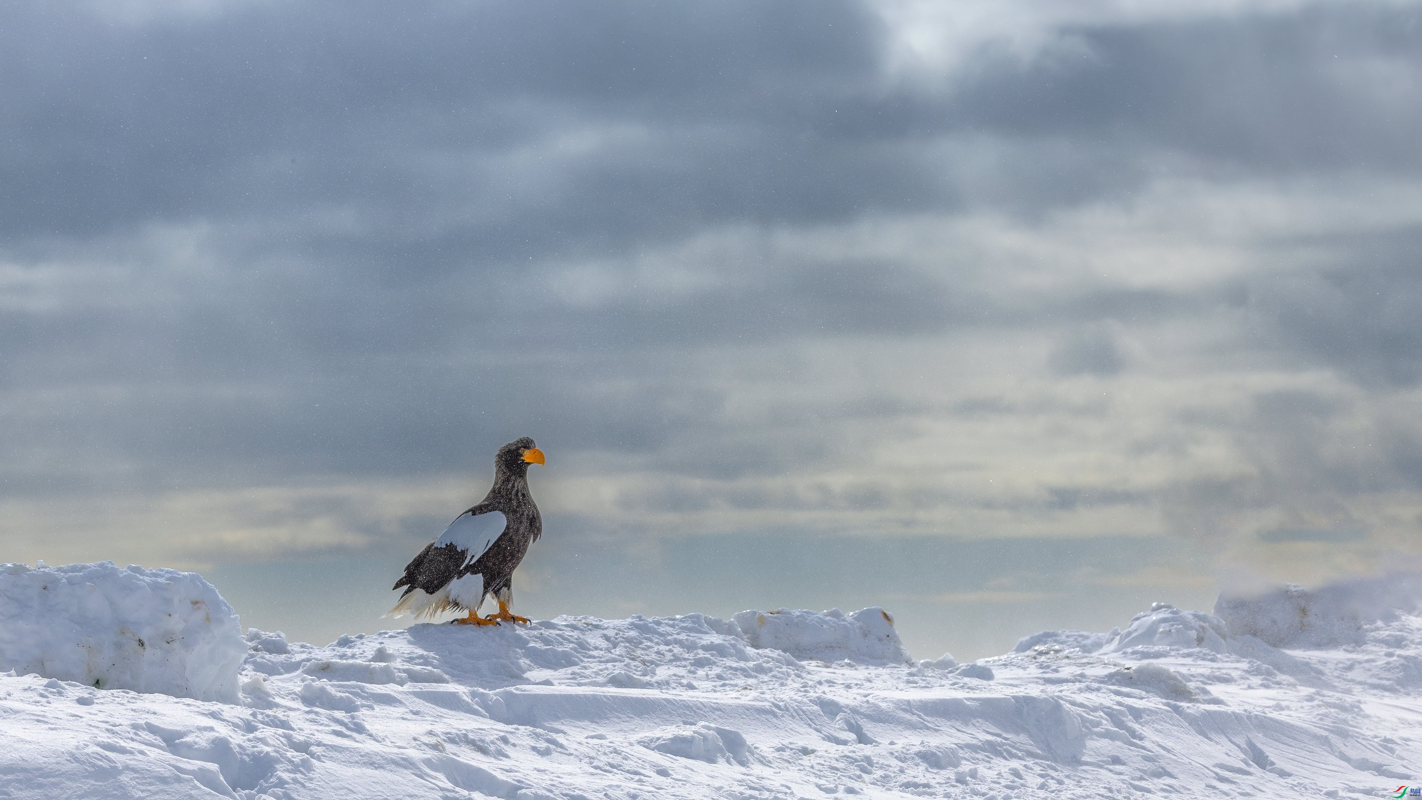 ����  ���� �䱾���� ����.jpg