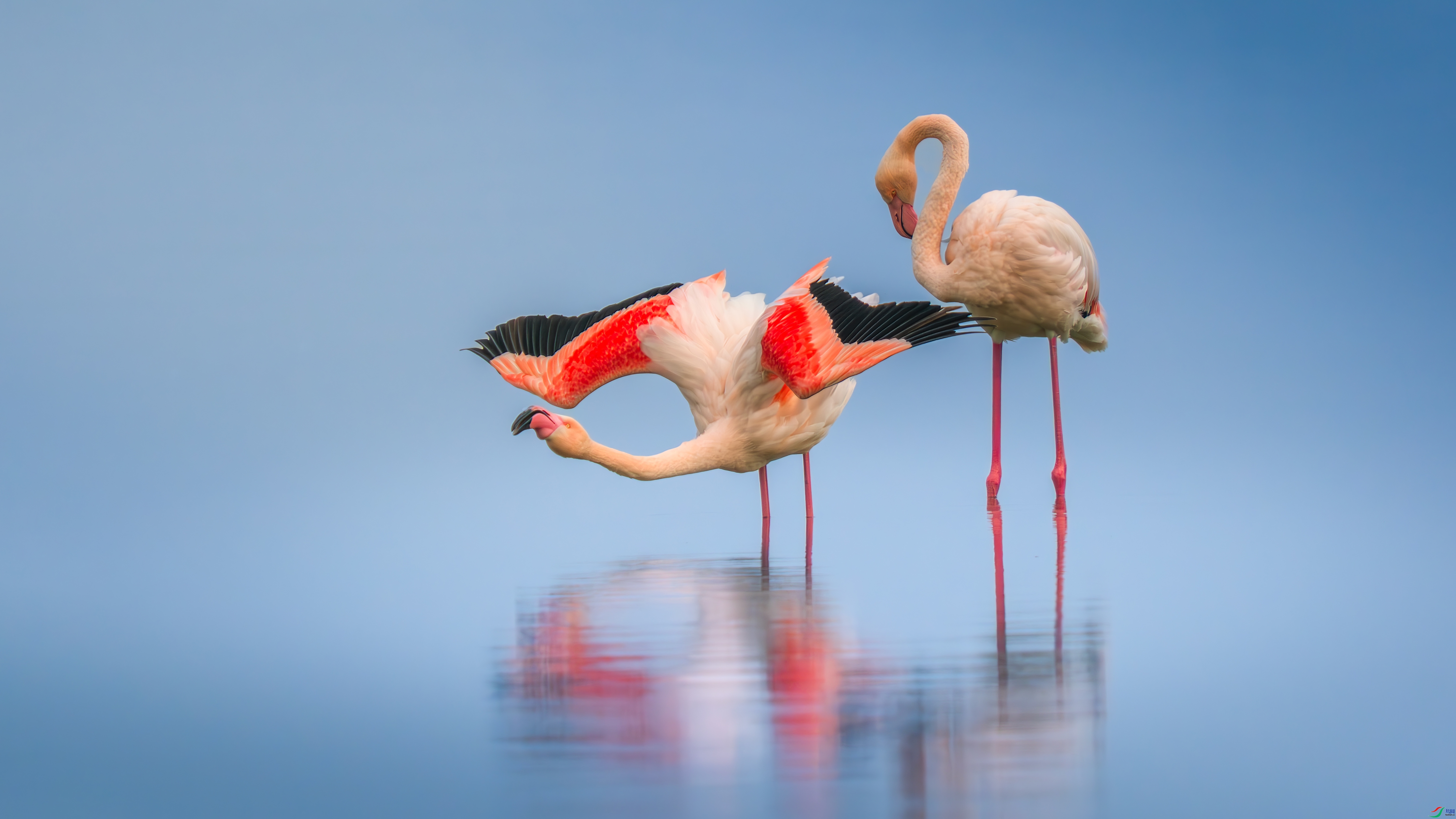 �����  ���� С���� ����.jpg