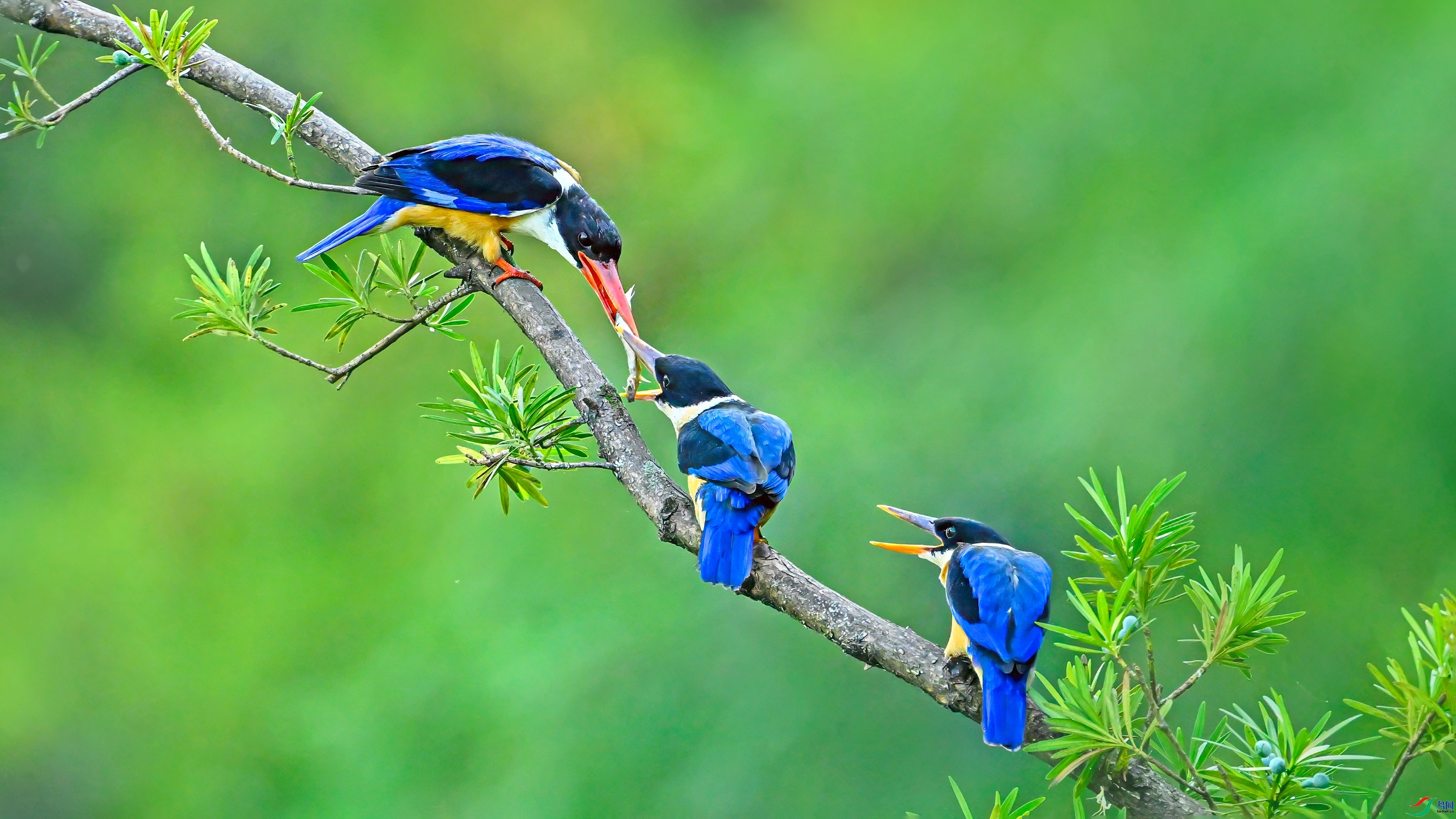 ����  ���� wh�ϳ� ����.jpg