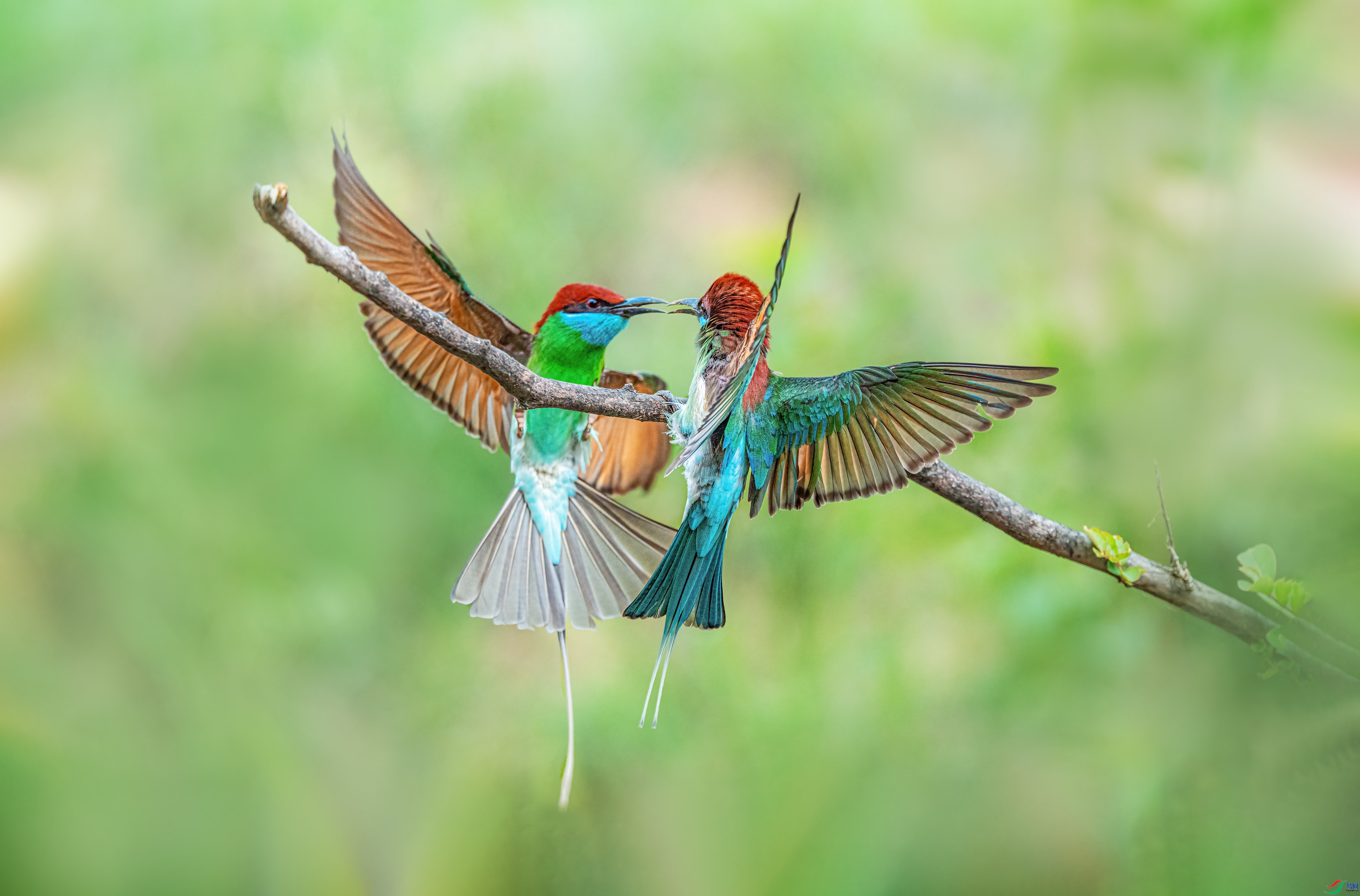 �� ���� �ܸ� ����.jpg