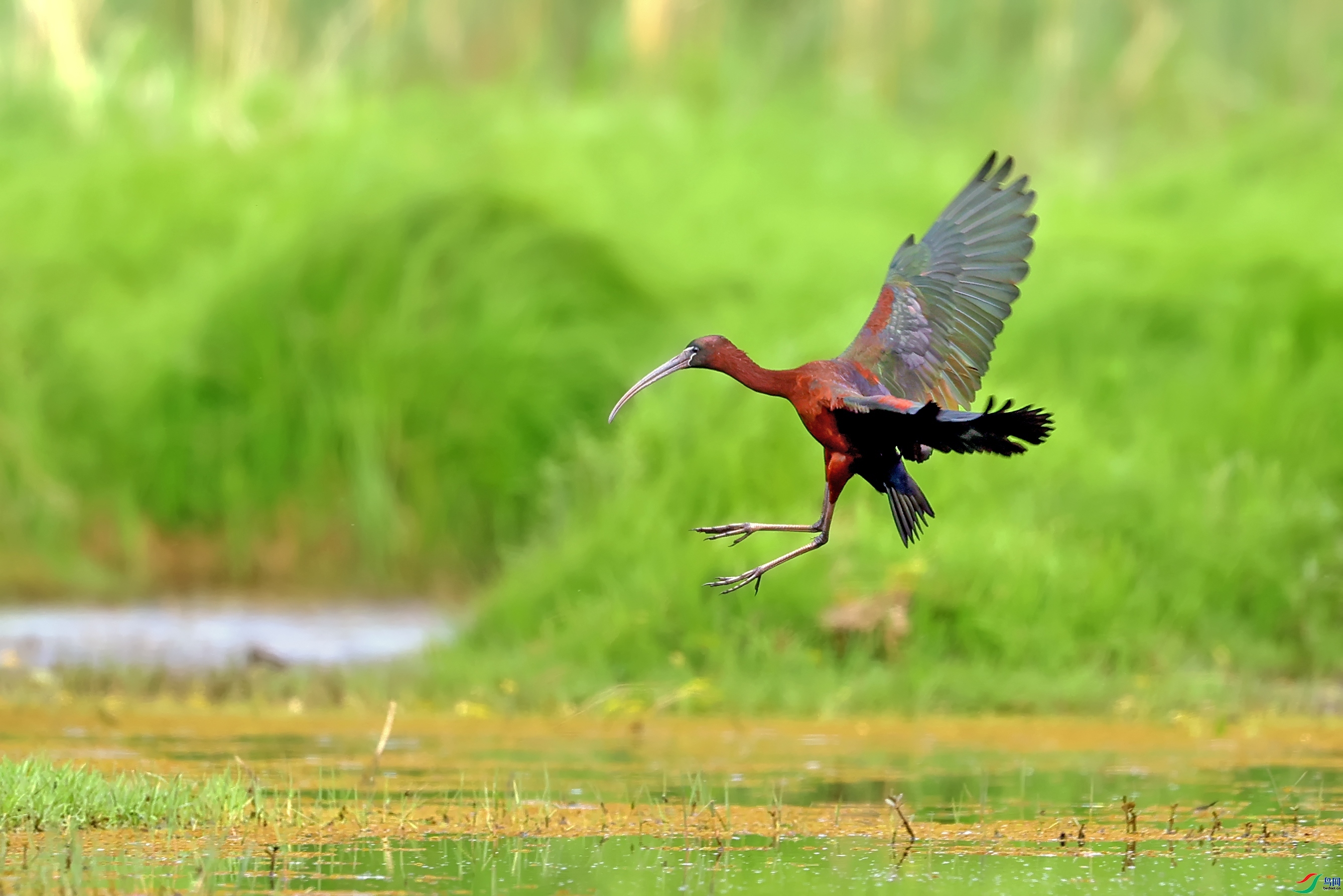 �������q  ���� ���� ����.jpg