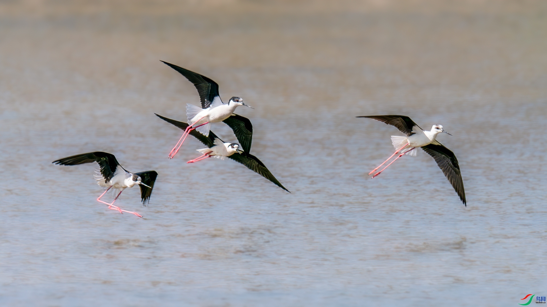 �����  ���� �������� ����.jpg