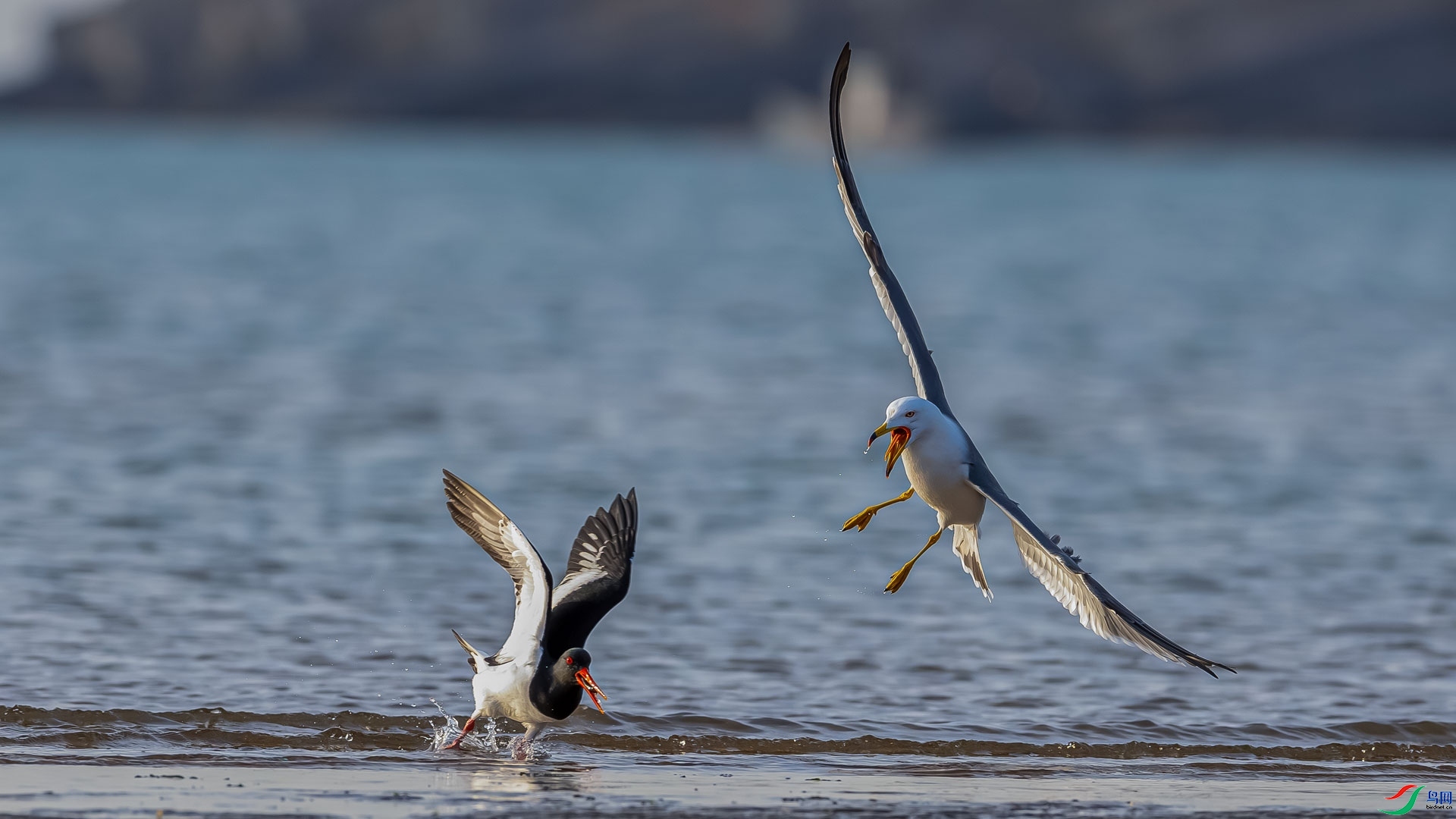 �ۺ���  ���� ɳ���Խ� ����.jpg