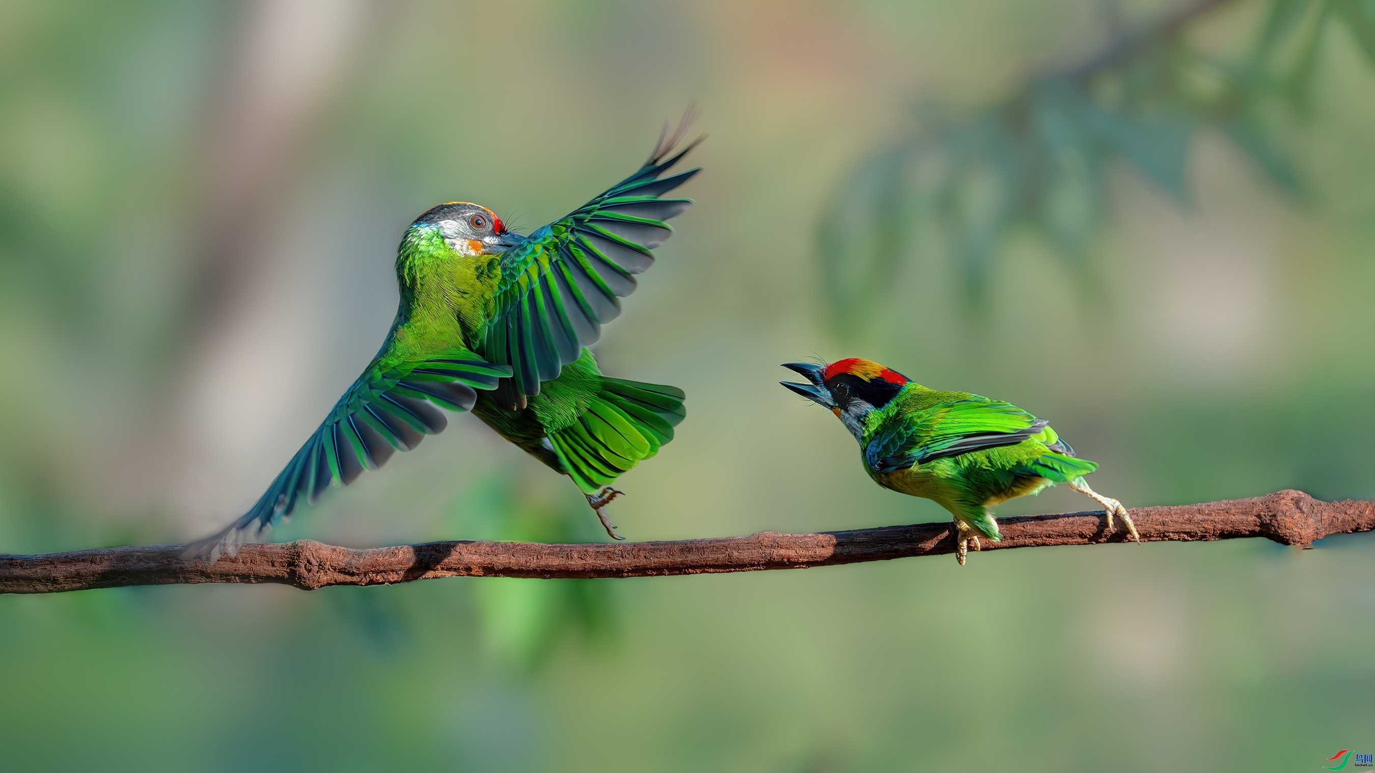 ����֮��  ���� С�׺� ����.jpg