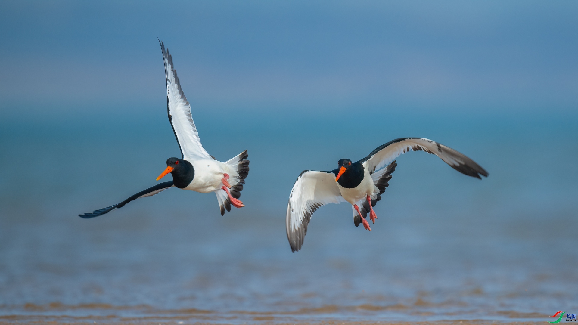 ˫��  ���� ���� ����.jpg