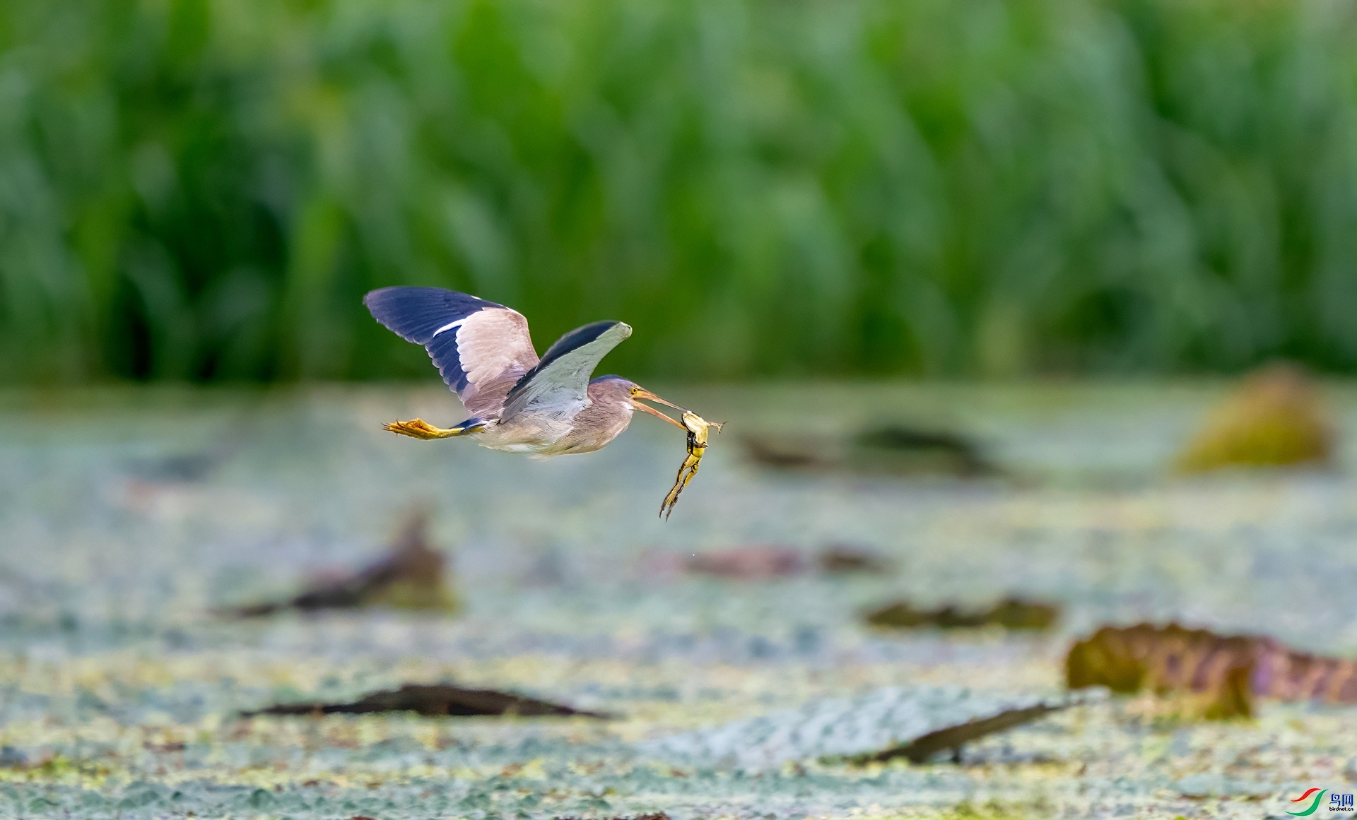 �ջ�  ���� ����ʽ ����.jpeg