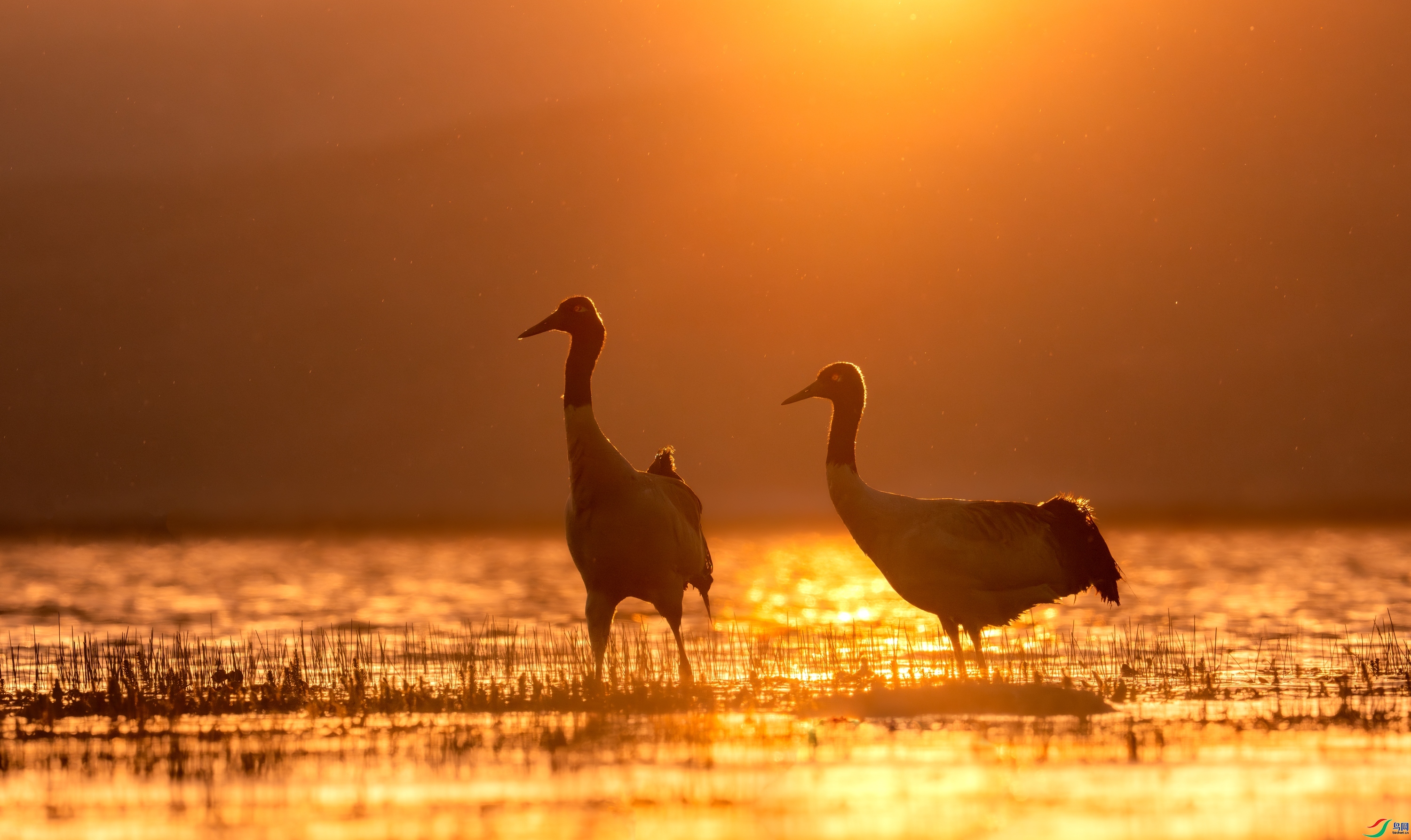 ��ϼ�еĺھ���  ���� ��Ͽ֮�� ����.jpg