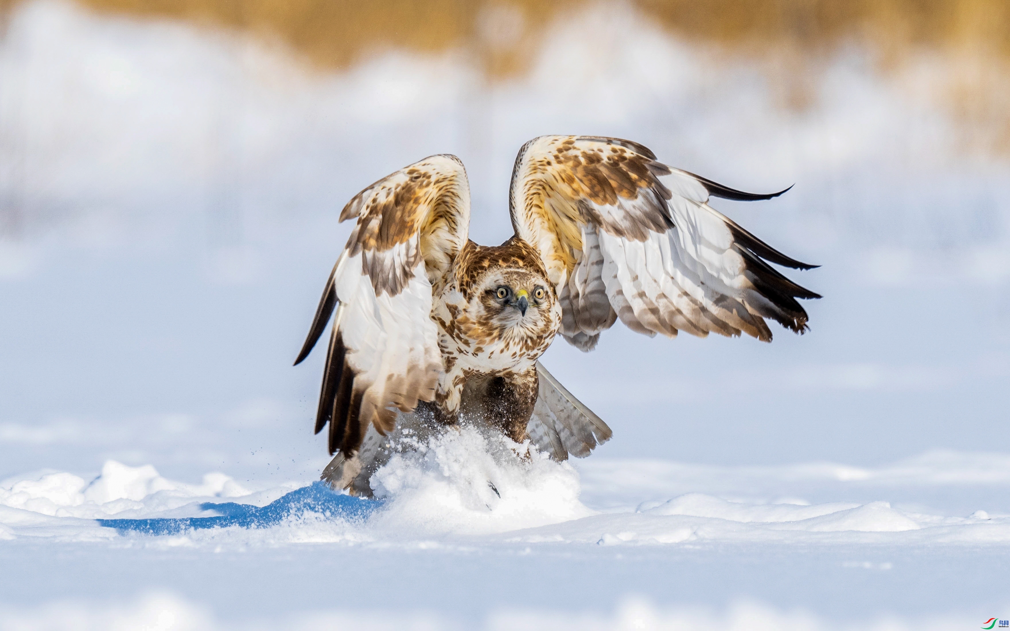 ��ĩ����  ���� ����.jpg