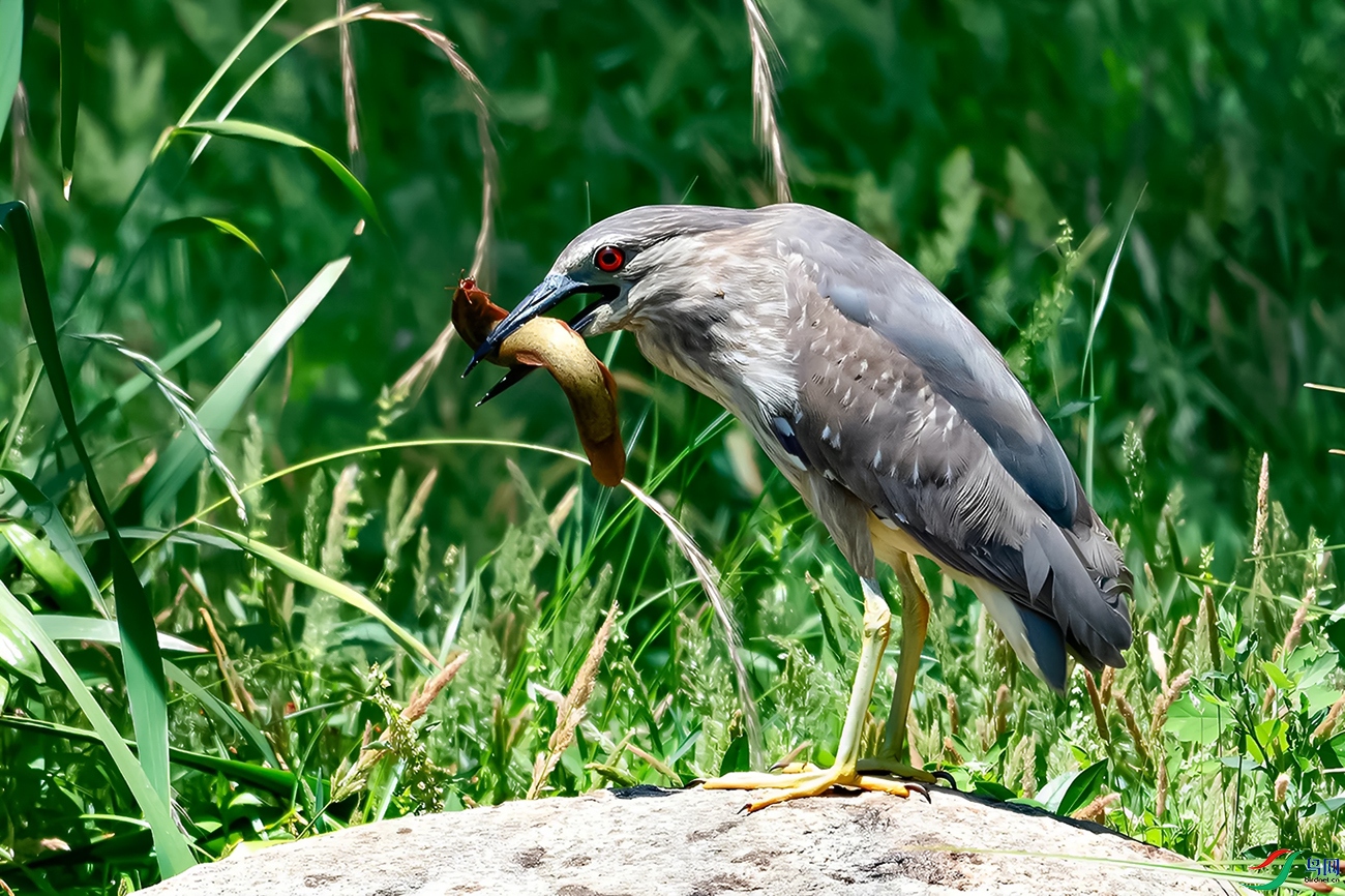 DSC_1902=.jpg