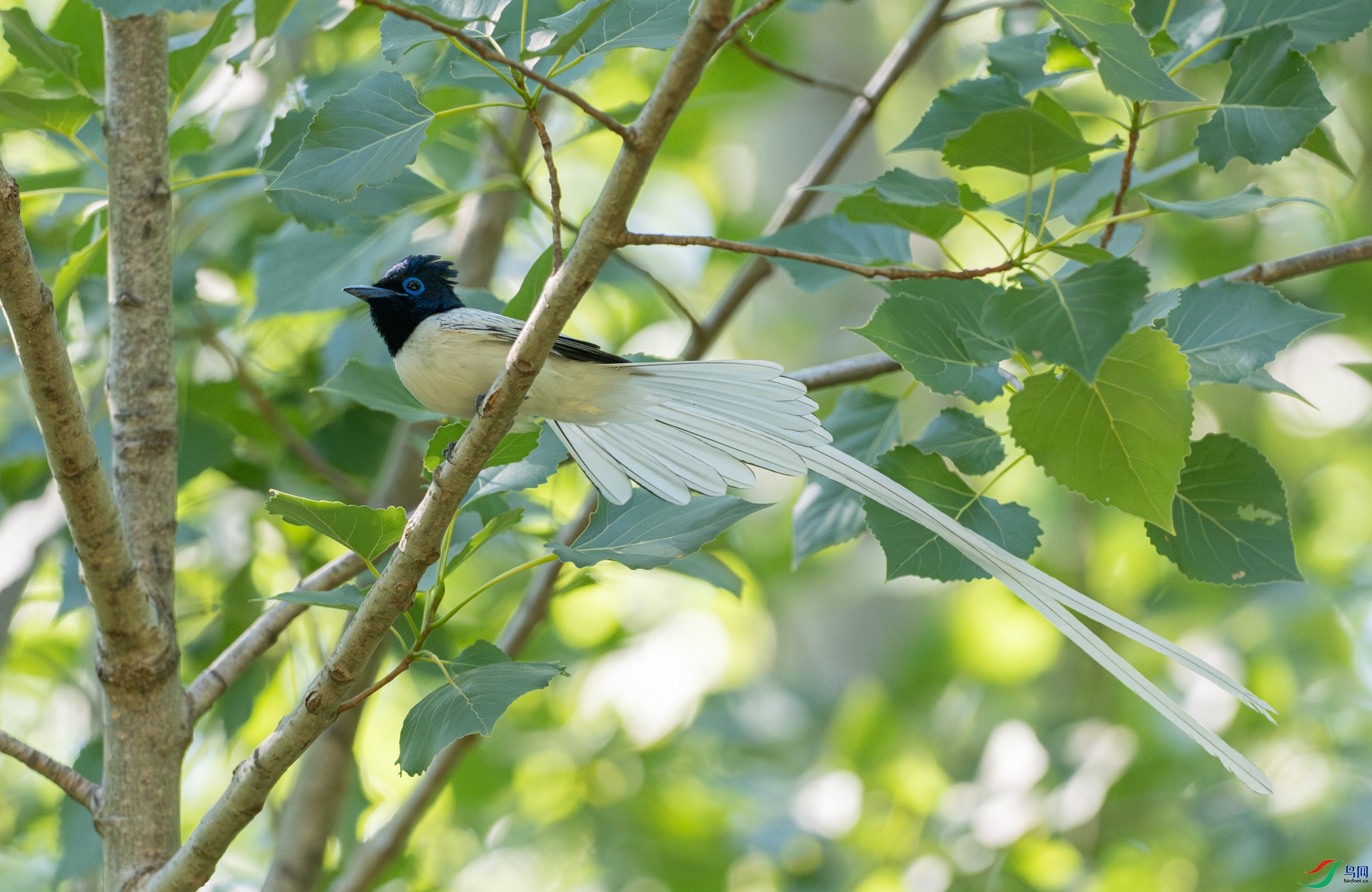 P7043302-.jpg