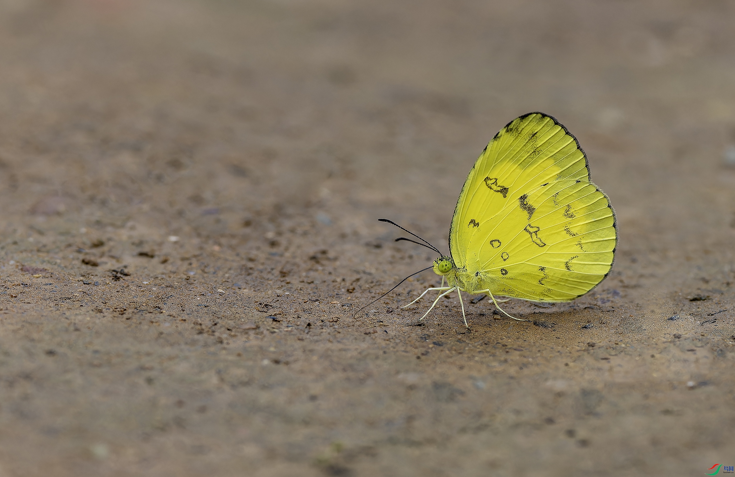 ���Ʒ۵� (4)-01.jpg