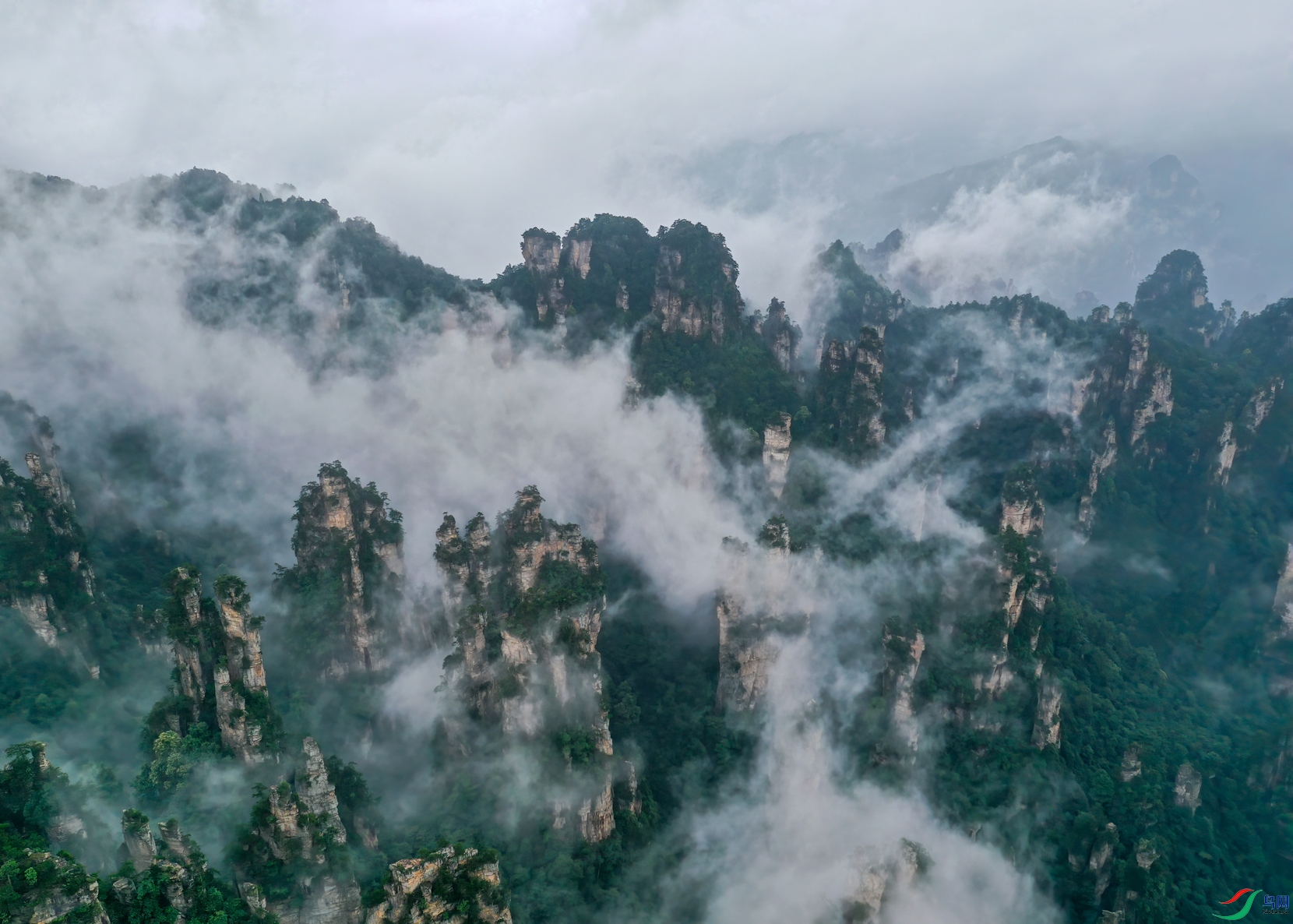 DJI_0468.jpg