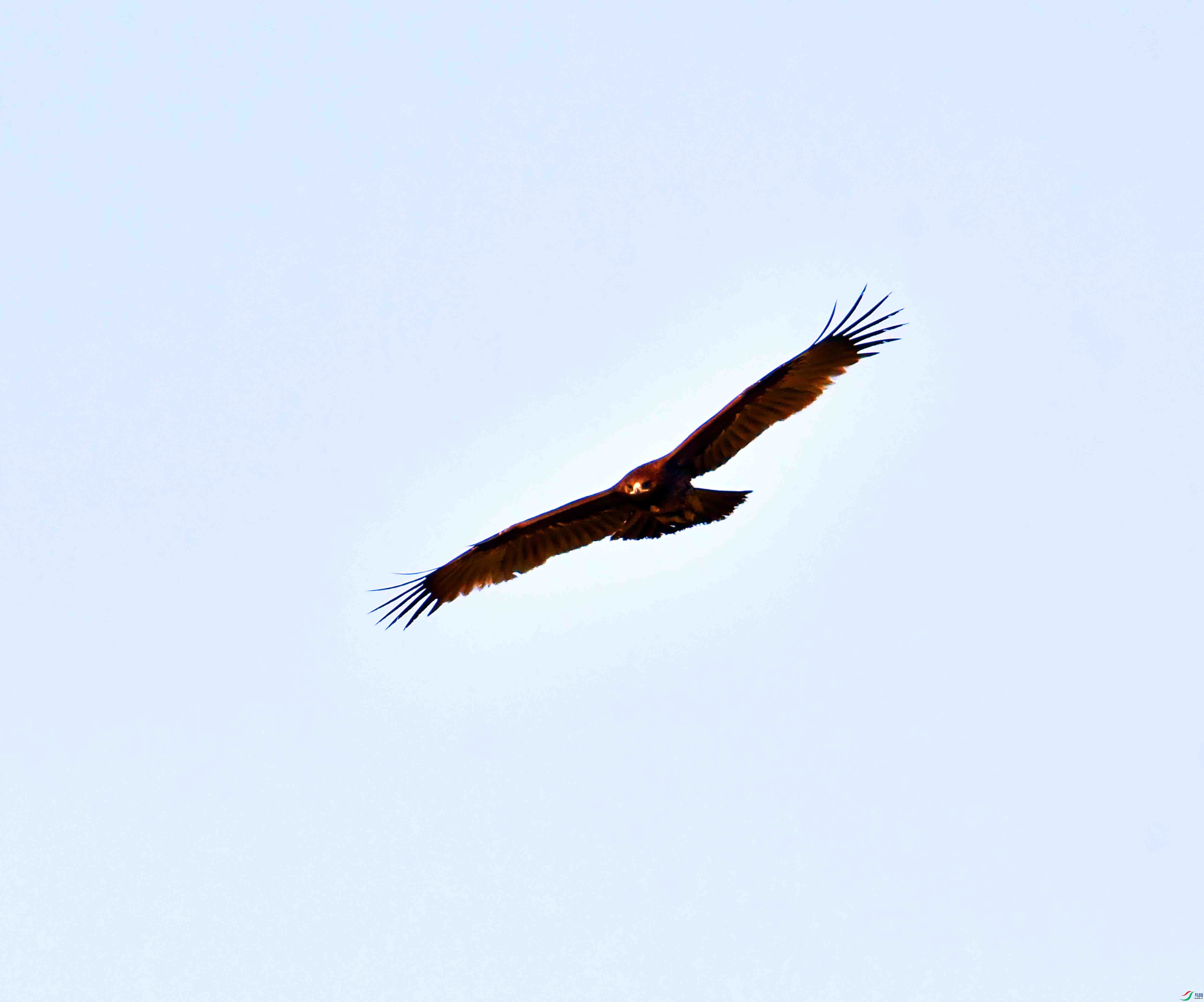 DSC_9315.JPG