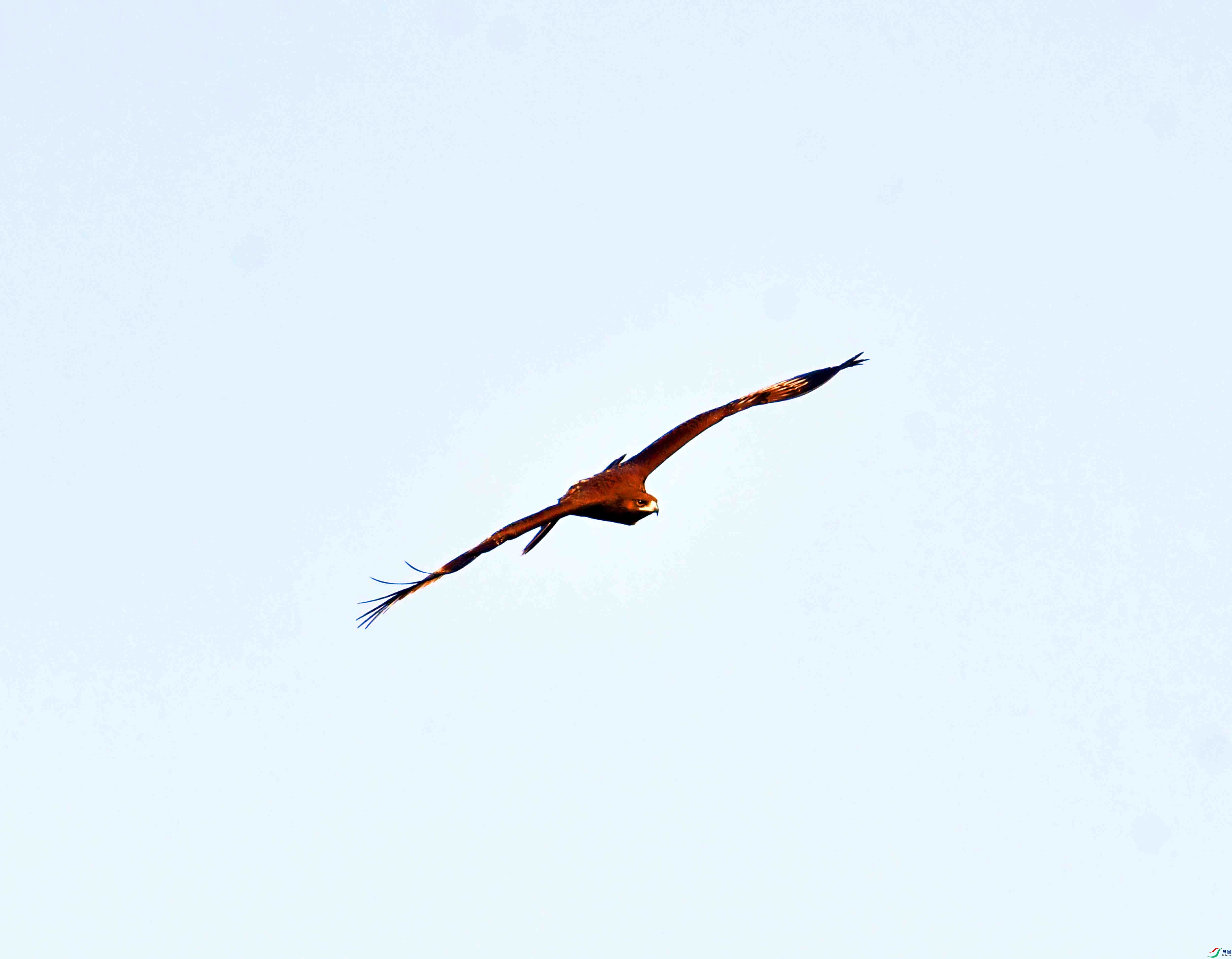 DSC_9314.JPG